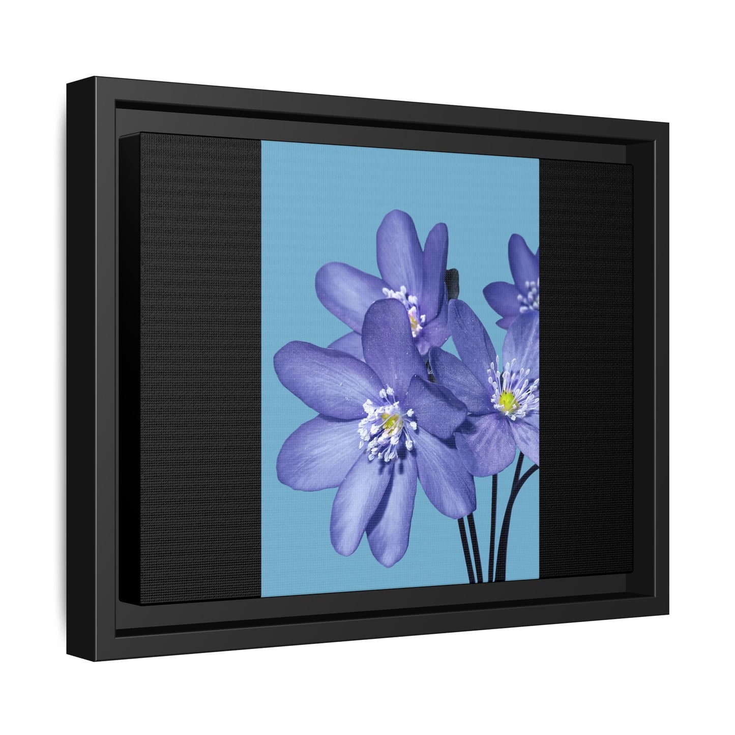 Framed Floral Canvas Art - Vibrant Blue Flower Decor