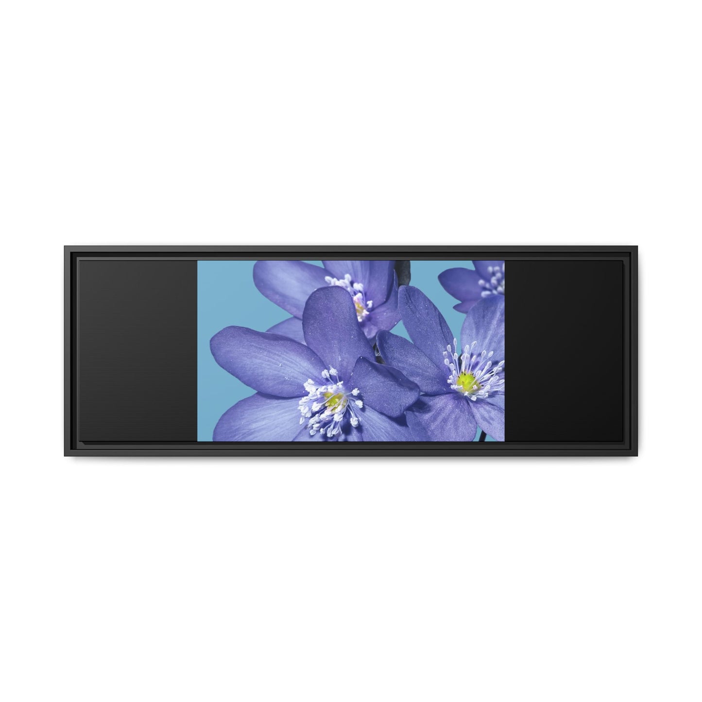 Framed Floral Canvas Art - Vibrant Blue Flower Decor