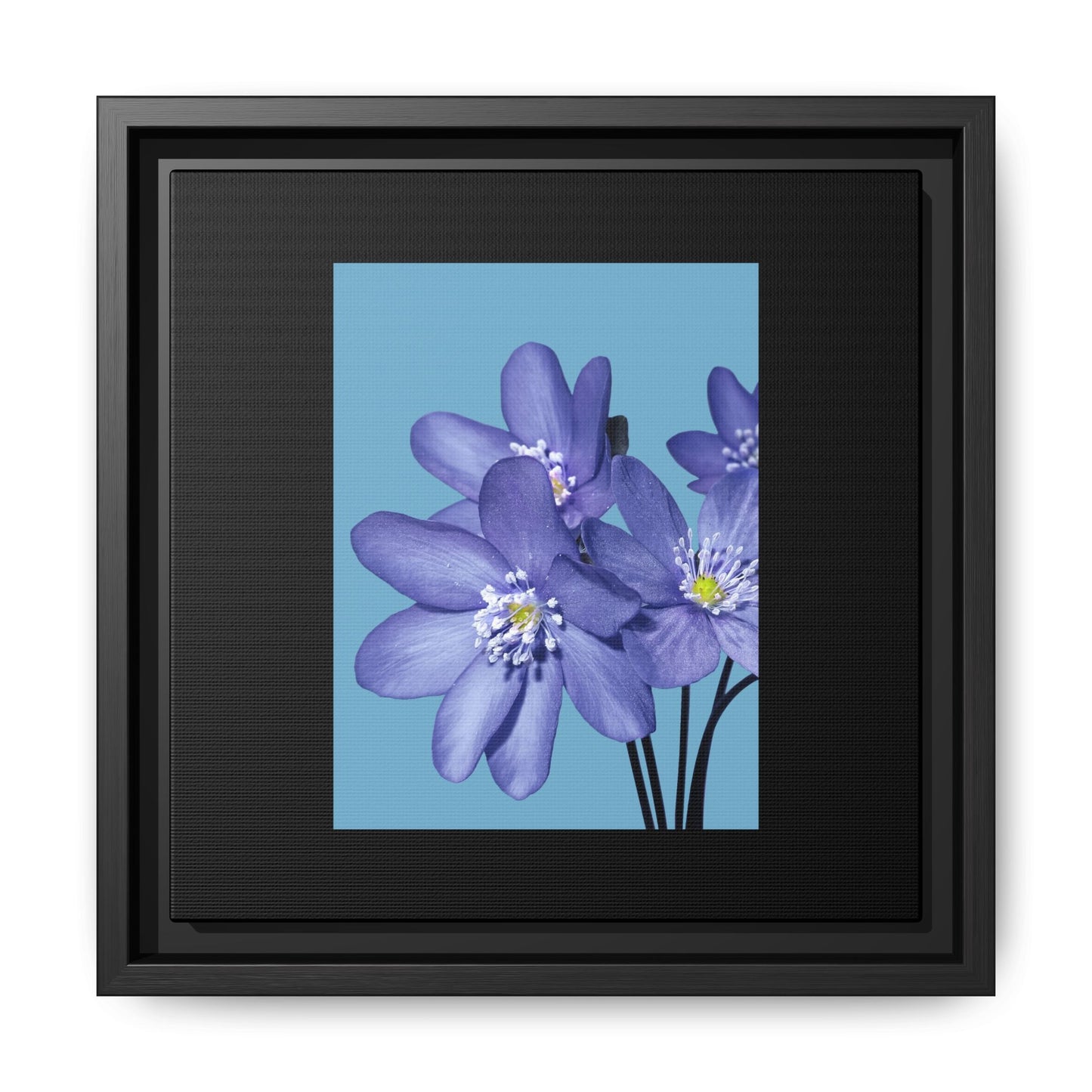 Framed Floral Canvas Art - Vibrant Blue Flower Decor