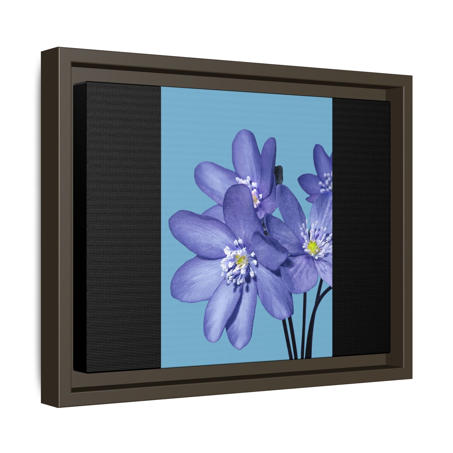 Framed Floral Canvas Art - Vibrant Blue Flower Decor
