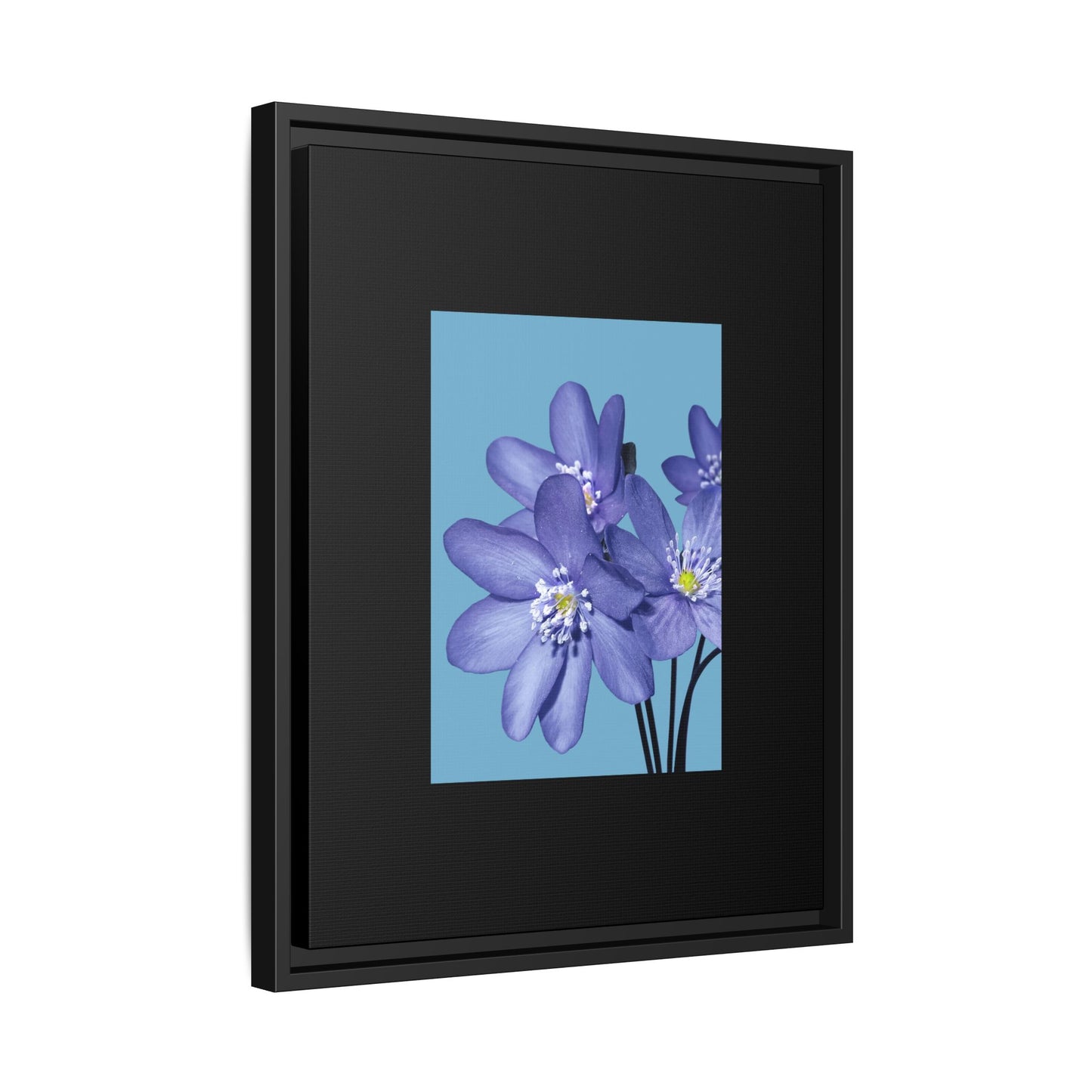 Framed Floral Canvas Art - Vibrant Blue Flower Decor