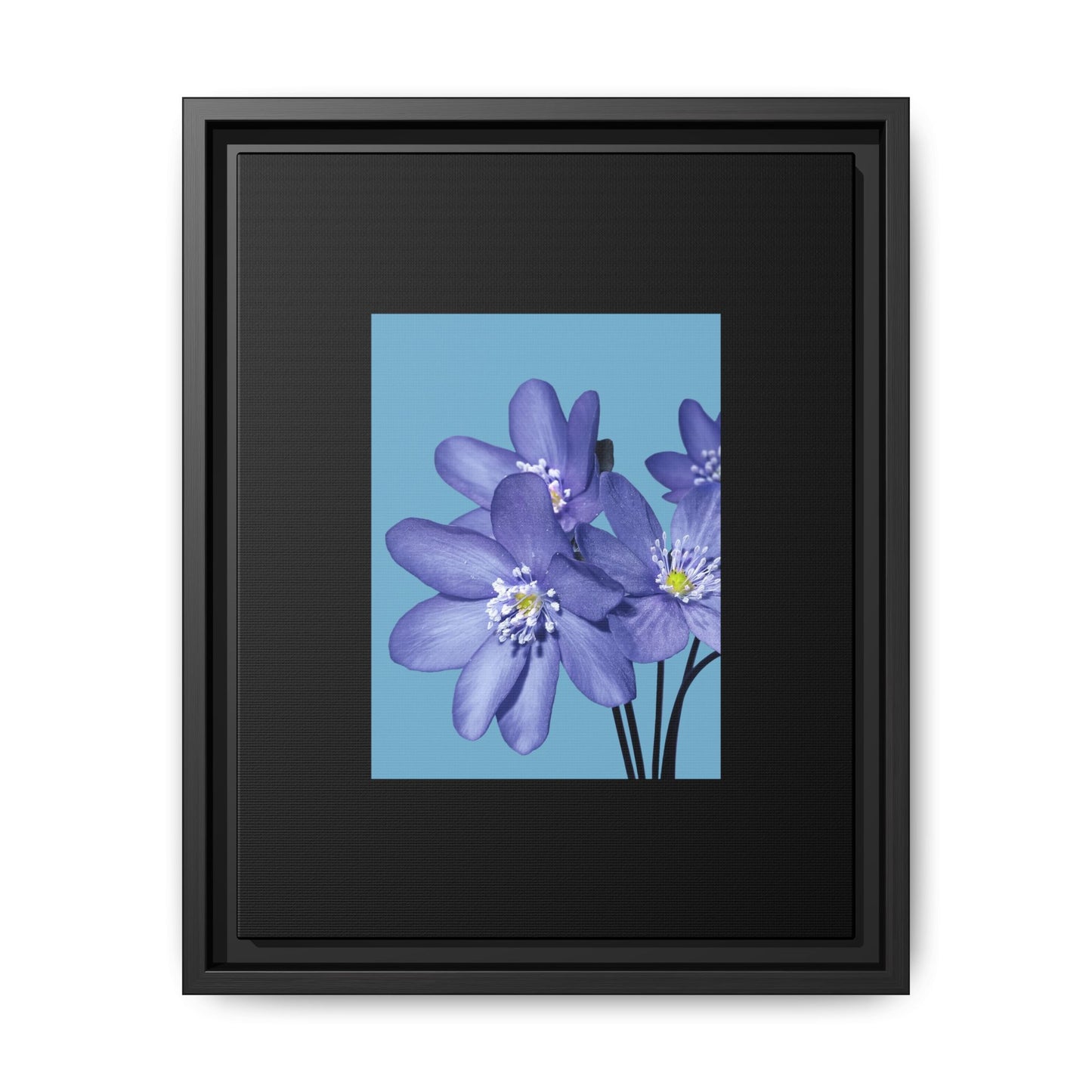 Framed Floral Canvas Art - Vibrant Blue Flower Decor
