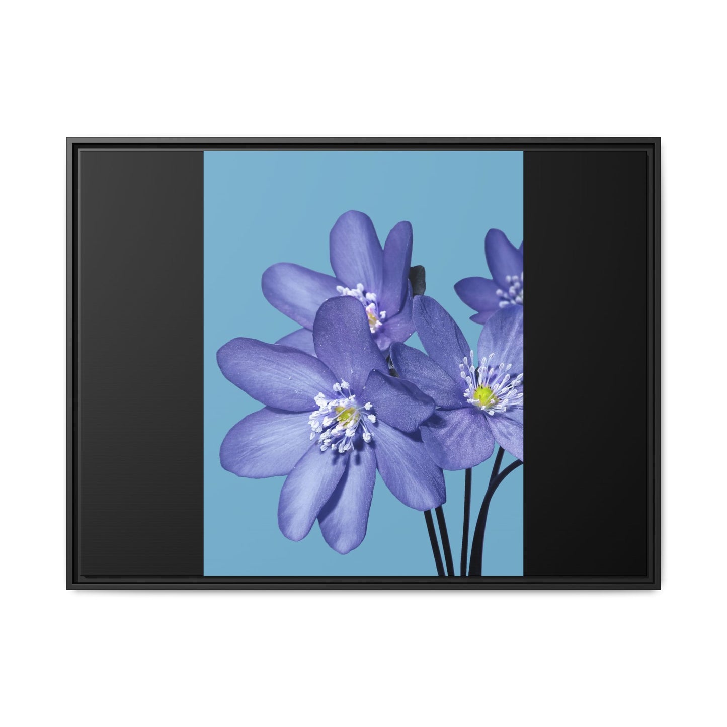 Framed Floral Canvas Art - Vibrant Blue Flower Decor