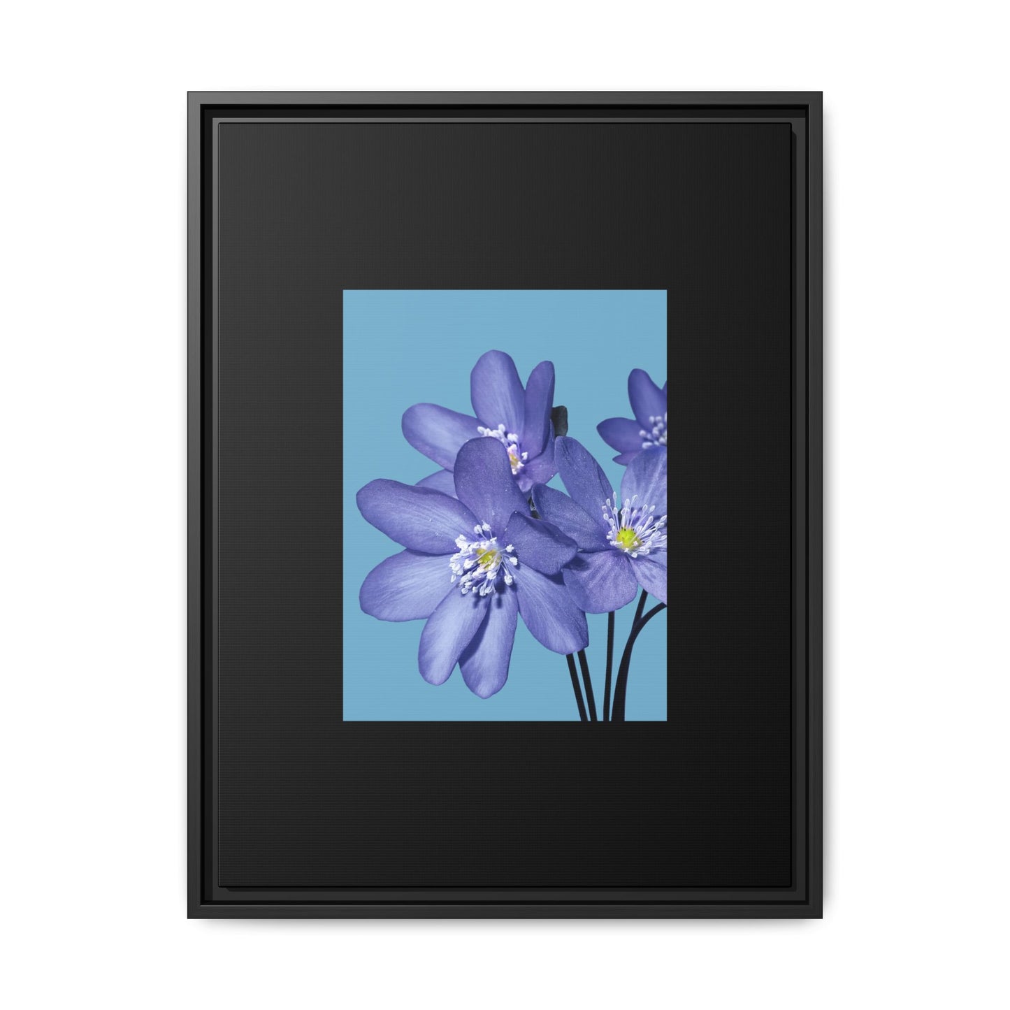 Framed Floral Canvas Art - Vibrant Blue Flower Decor