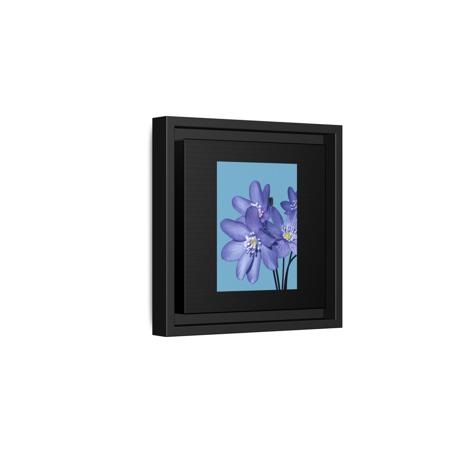 Framed Floral Canvas Art - Vibrant Blue Flower Decor