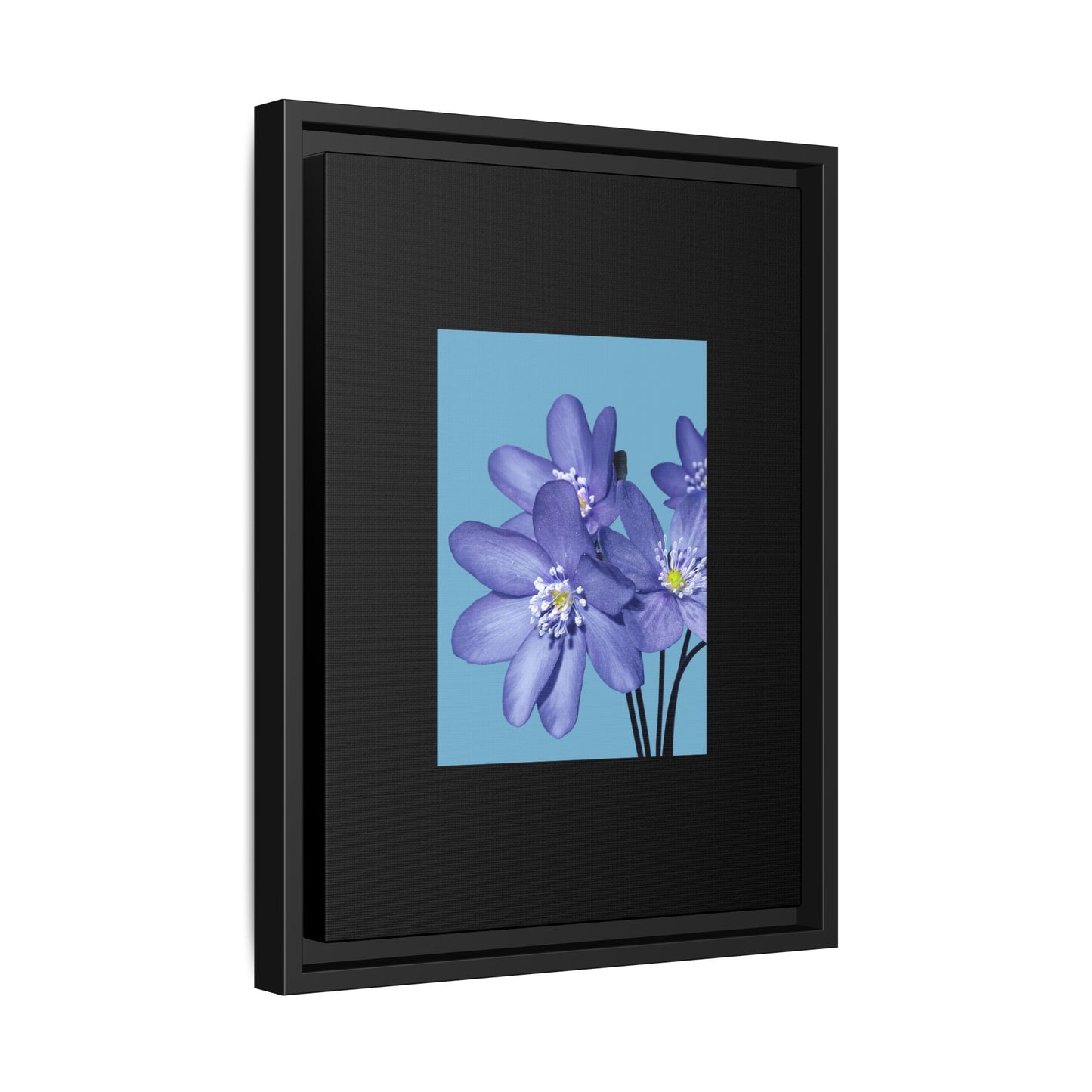 Framed Floral Canvas Art - Vibrant Blue Flower Decor