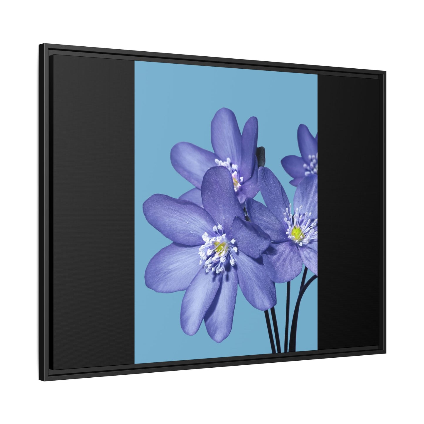 Framed Floral Canvas Art - Vibrant Blue Flower Decor