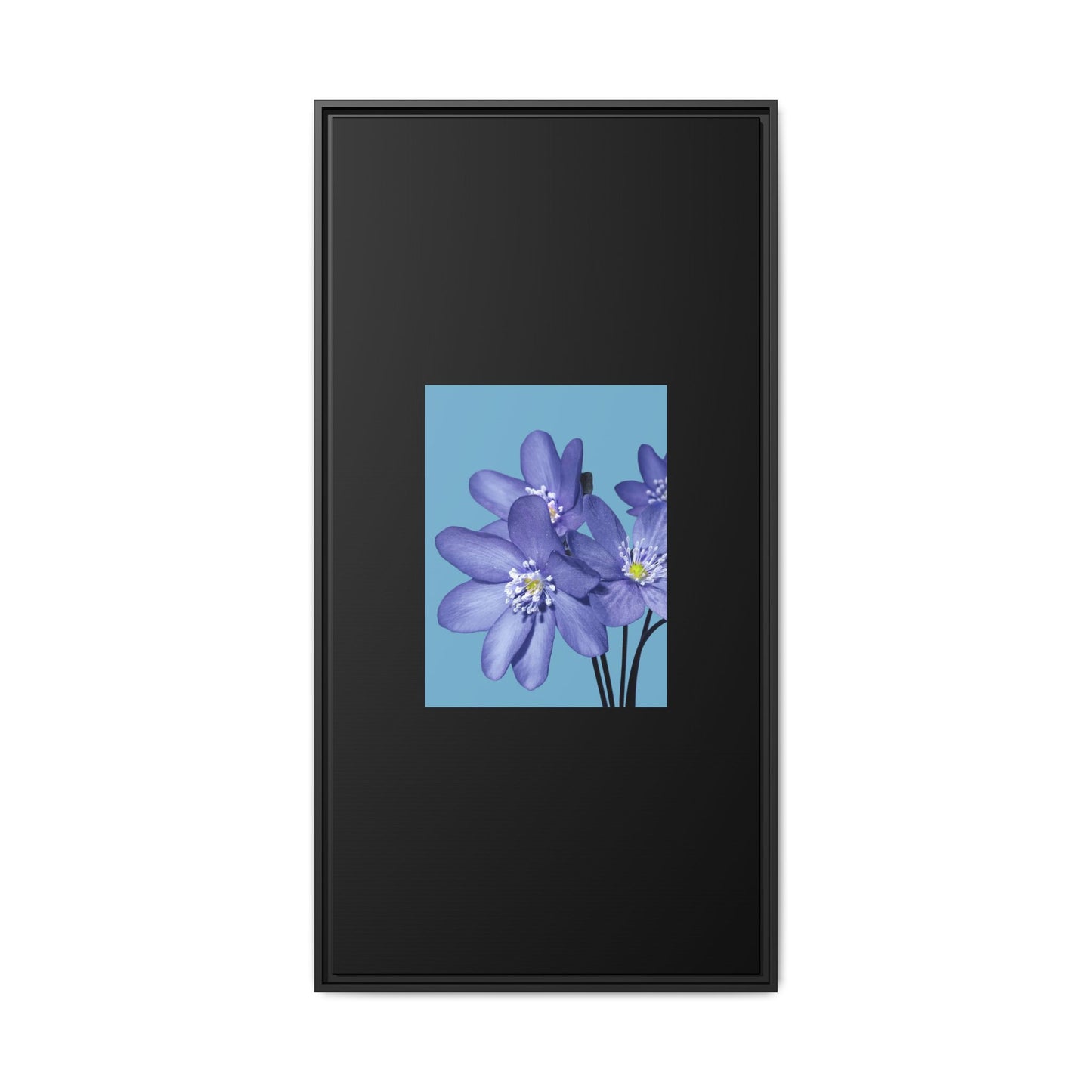 Framed Floral Canvas Art - Vibrant Blue Flower Decor