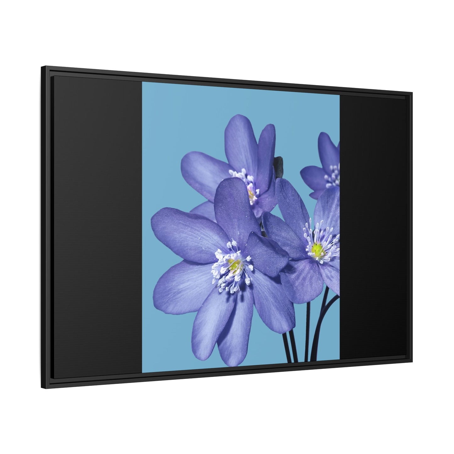Framed Floral Canvas Art - Vibrant Blue Flower Decor