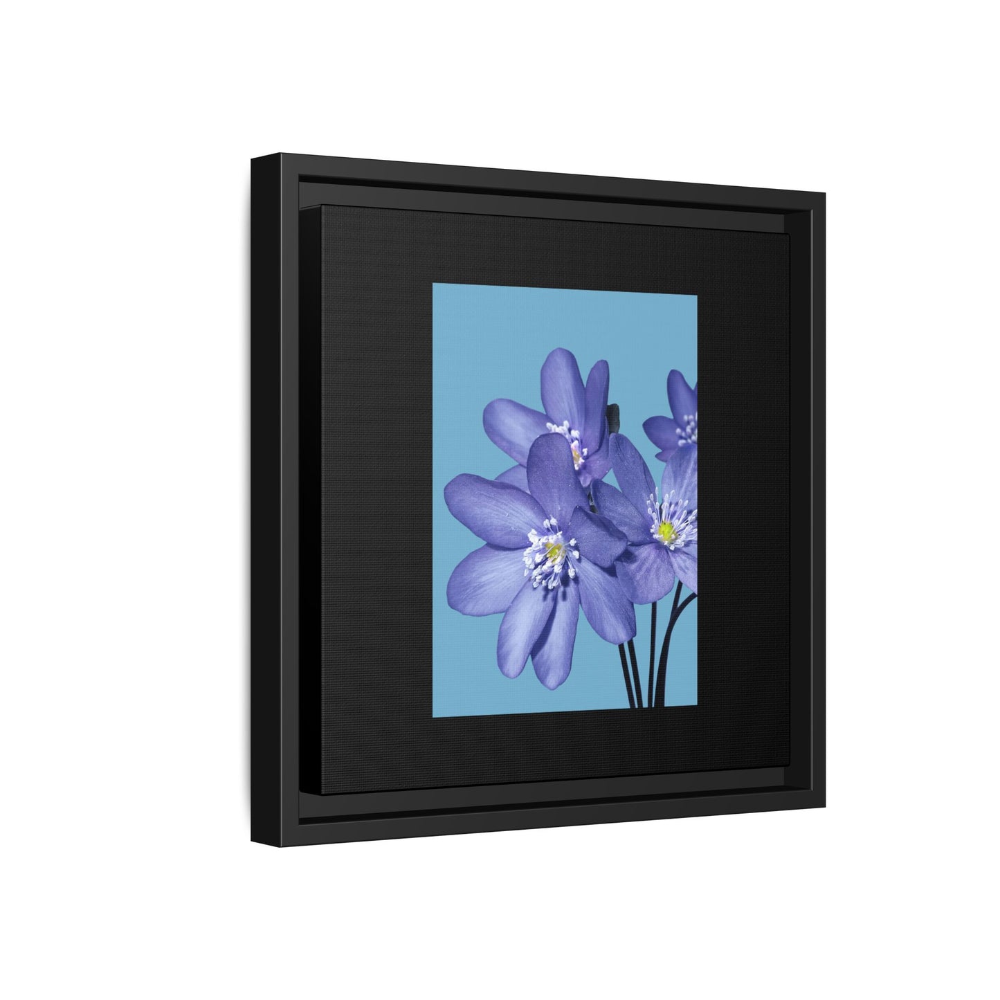 Framed Floral Canvas Art - Vibrant Blue Flower Decor