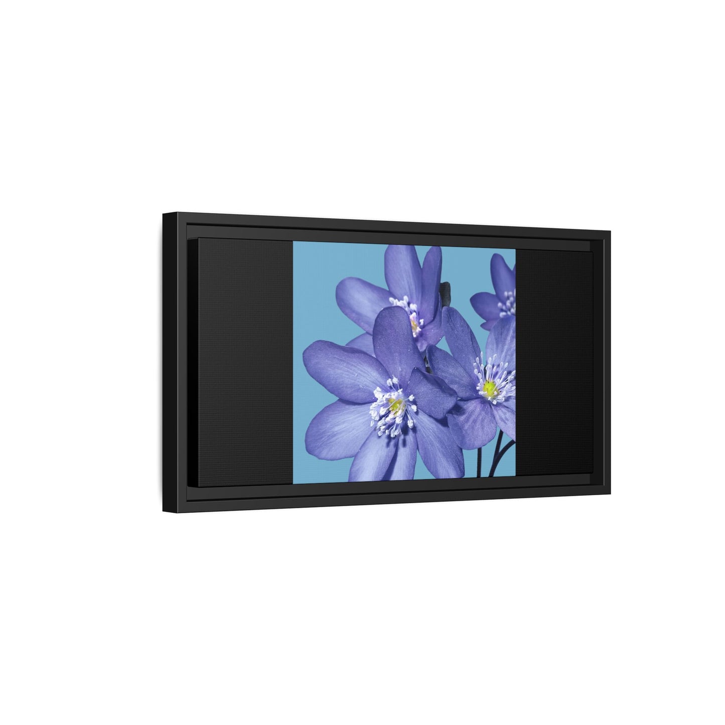 Framed Floral Canvas Art - Vibrant Blue Flower Decor