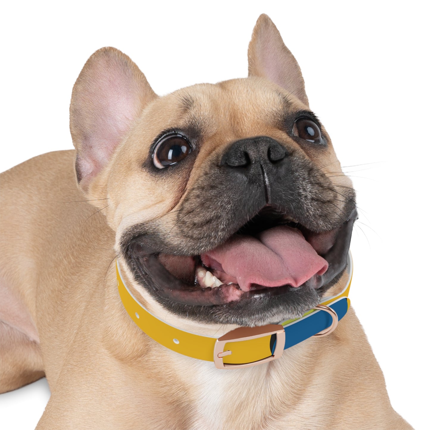 Dog Collar - 80's Retro Style Icon Collar