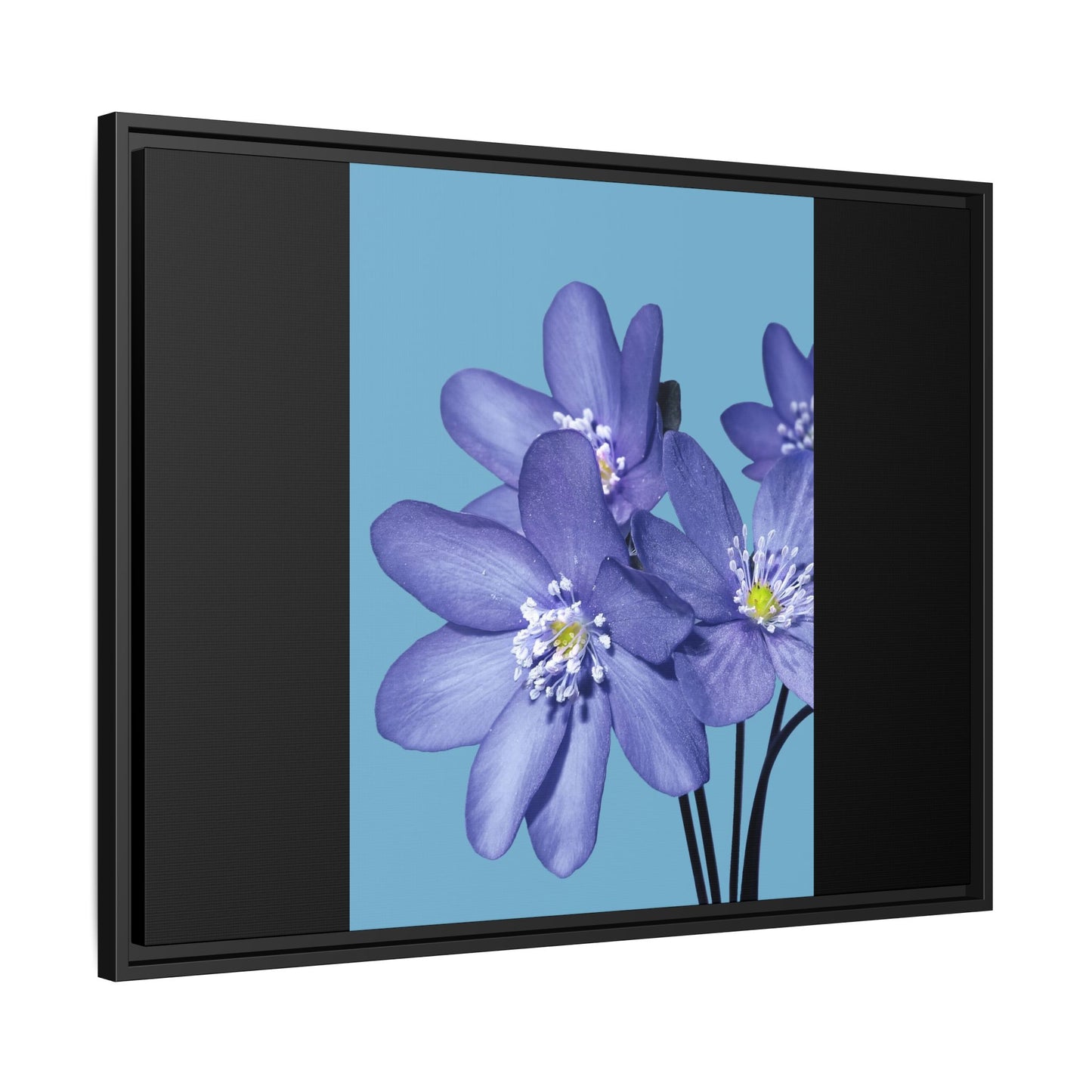 Framed Floral Canvas Art - Vibrant Blue Flower Decor