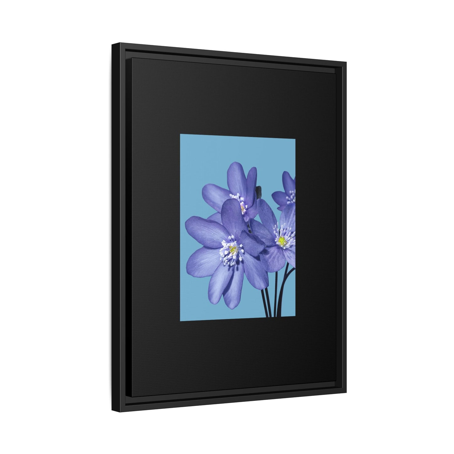 Framed Floral Canvas Art - Vibrant Blue Flower Decor