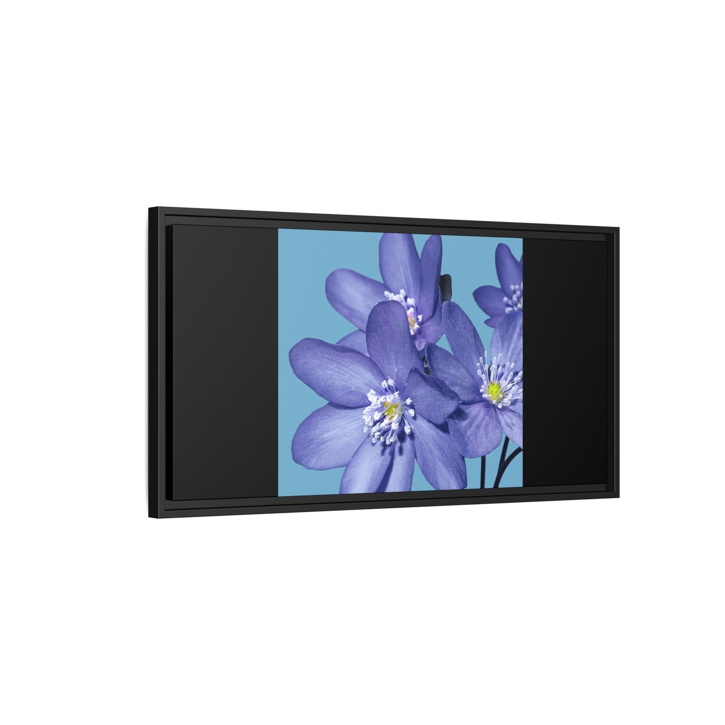 Framed Floral Canvas Art - Vibrant Blue Flower Decor