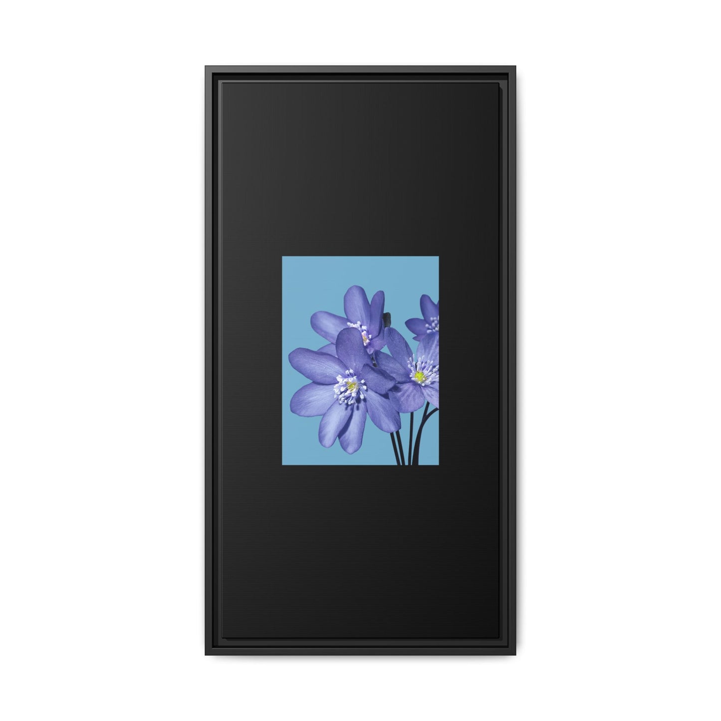 Framed Floral Canvas Art - Vibrant Blue Flower Decor