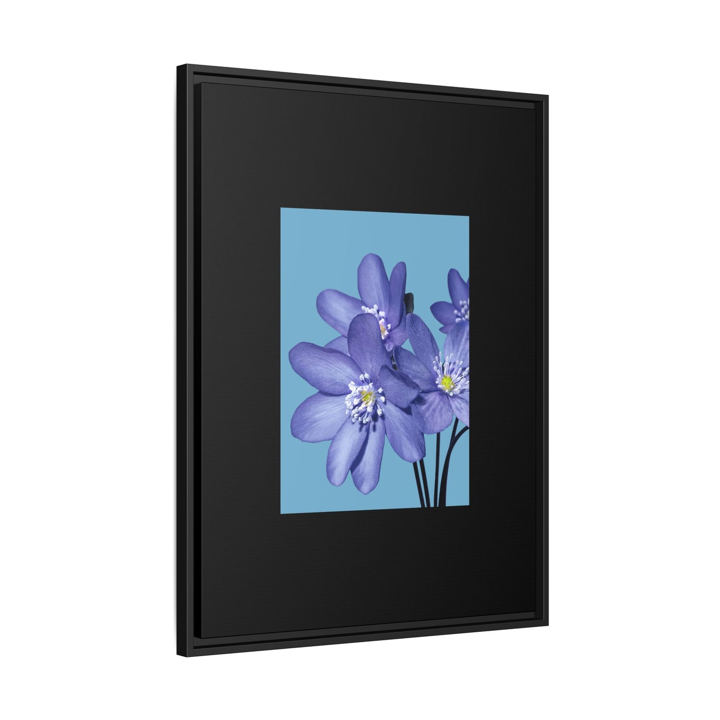 Framed Floral Canvas Art - Vibrant Blue Flower Decor