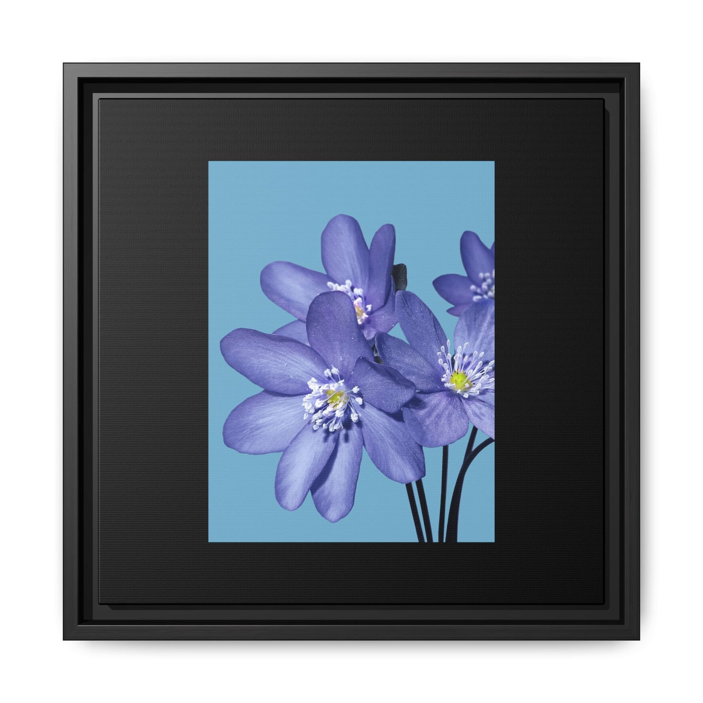 Framed Floral Canvas Art - Vibrant Blue Flower Decor