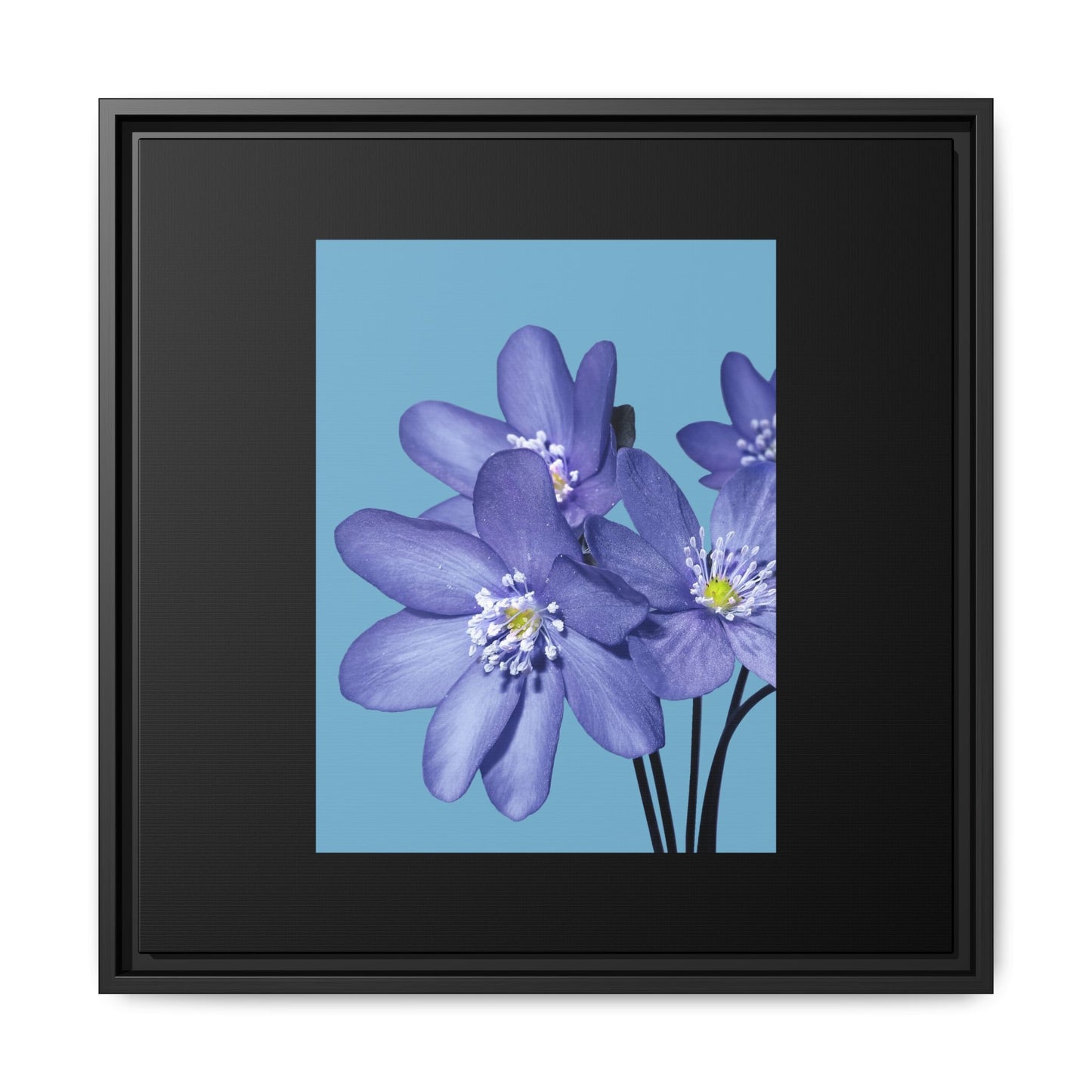 Framed Floral Canvas Art - Vibrant Blue Flower Decor