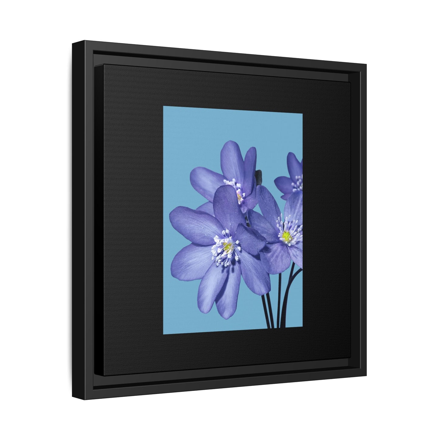 Framed Floral Canvas Art - Vibrant Blue Flower Decor