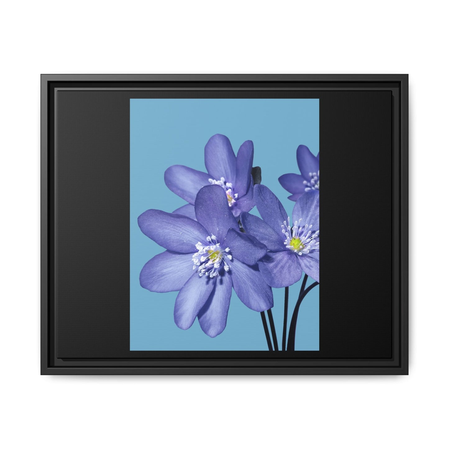 Framed Floral Canvas Art - Vibrant Blue Flower Decor