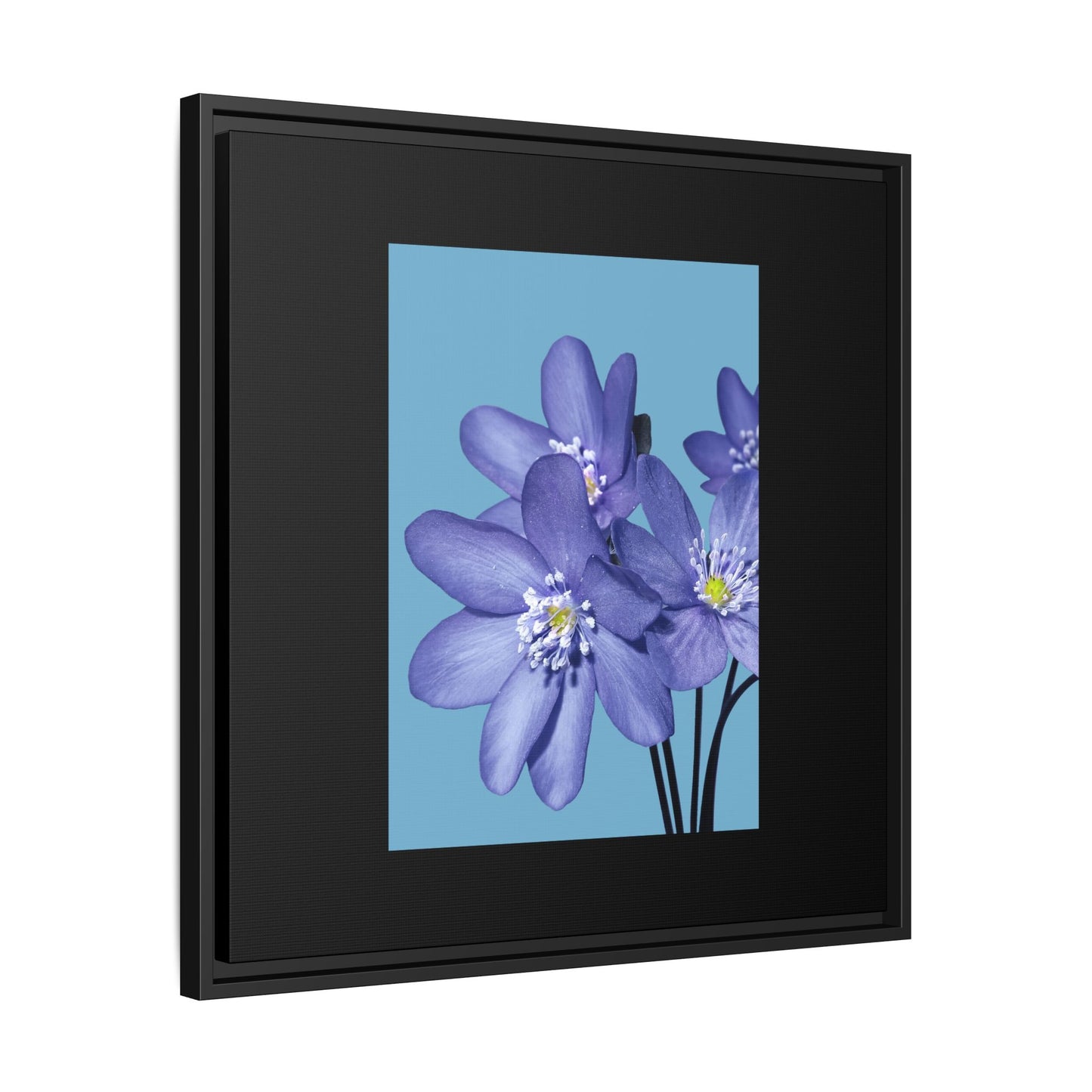 Framed Floral Canvas Art - Vibrant Blue Flower Decor