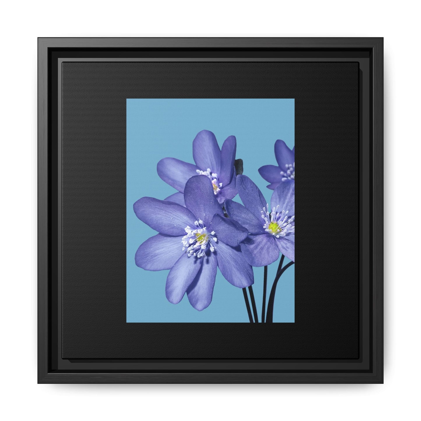 Framed Floral Canvas Art - Vibrant Blue Flower Decor