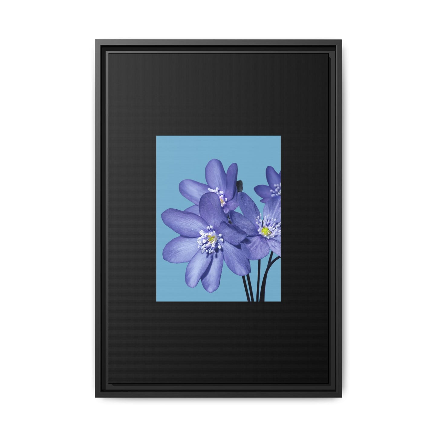 Framed Floral Canvas Art - Vibrant Blue Flower Decor