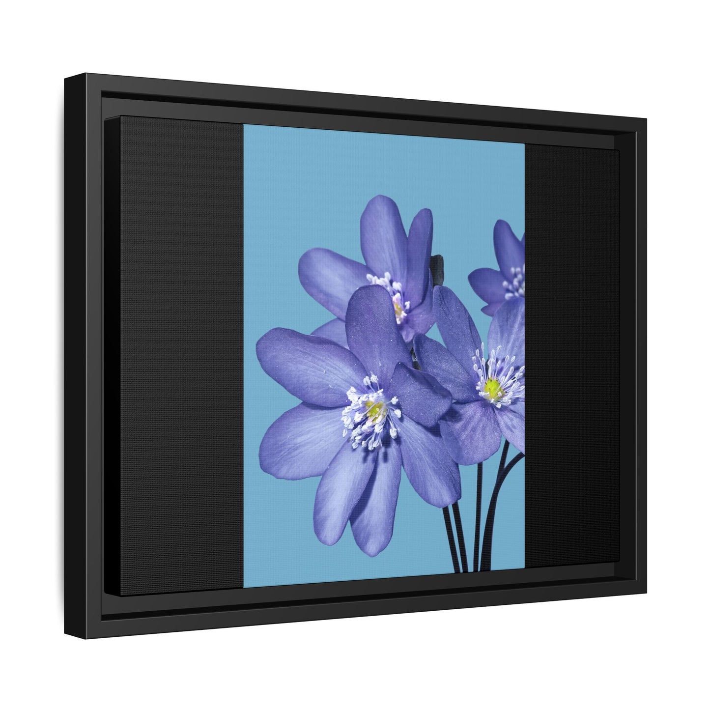 Framed Floral Canvas Art - Vibrant Blue Flower Decor