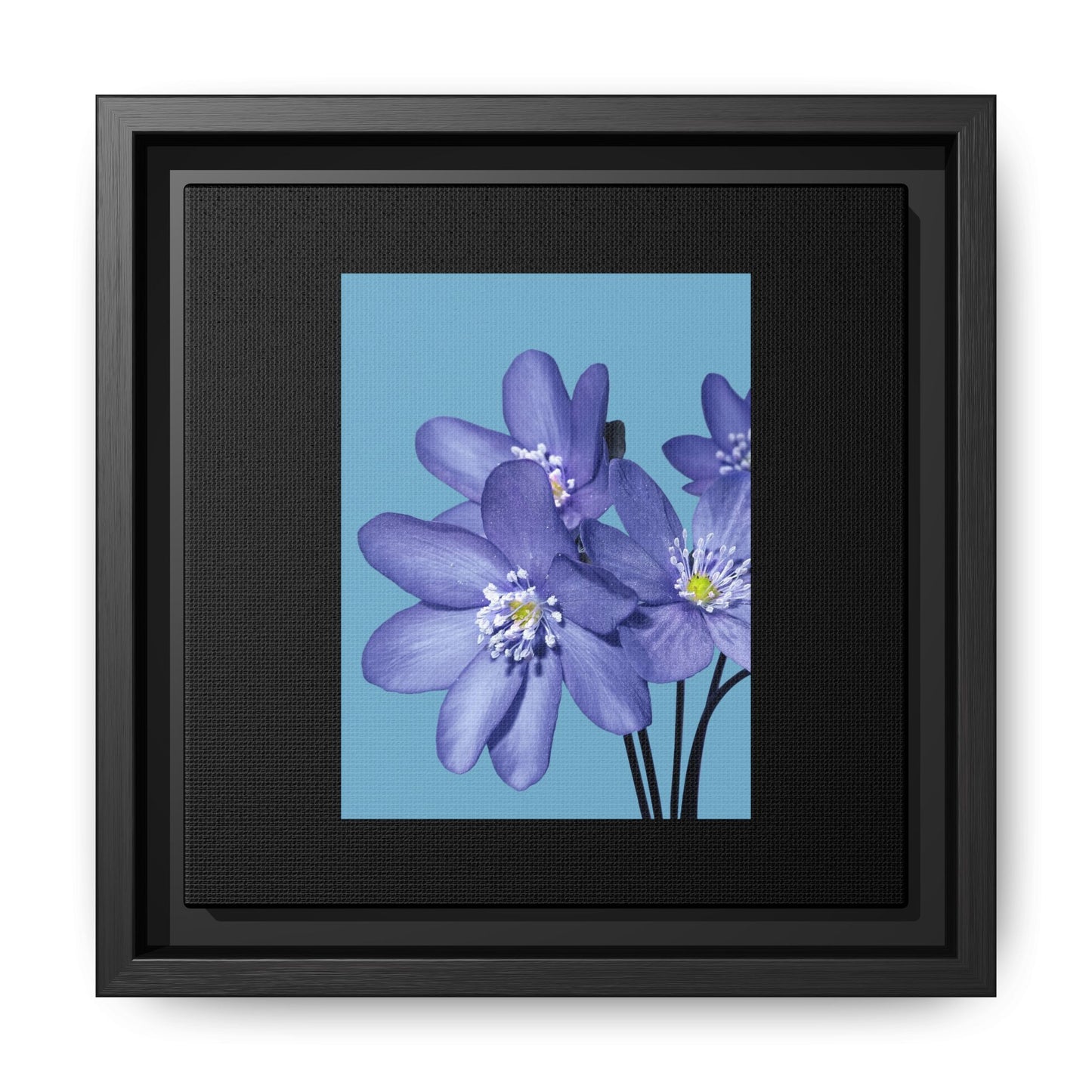 Framed Floral Canvas Art - Vibrant Blue Flower Decor