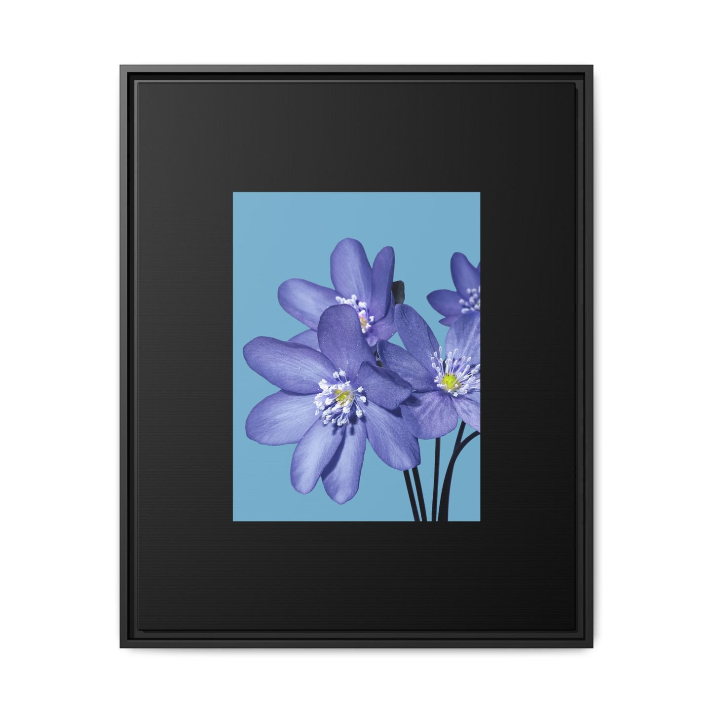 Framed Floral Canvas Art - Vibrant Blue Flower Decor
