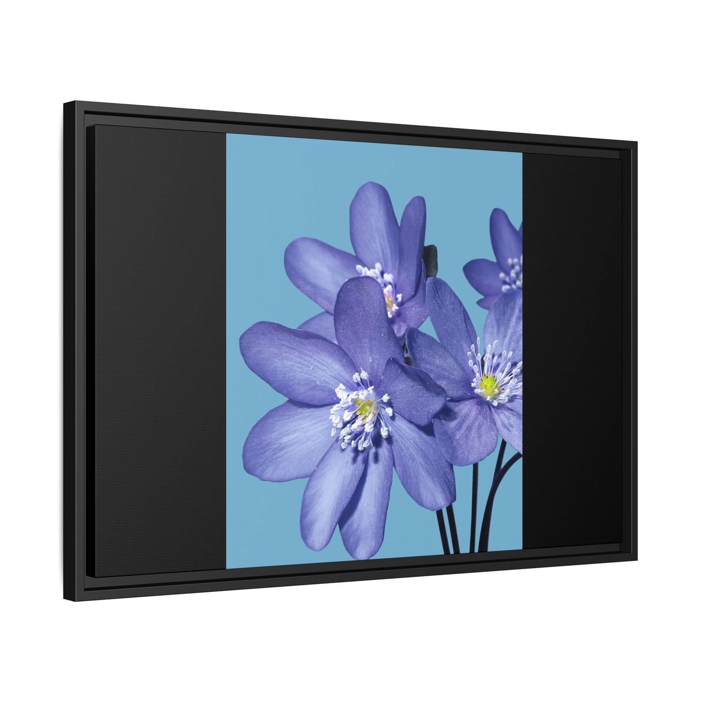 Framed Floral Canvas Art - Vibrant Blue Flower Decor