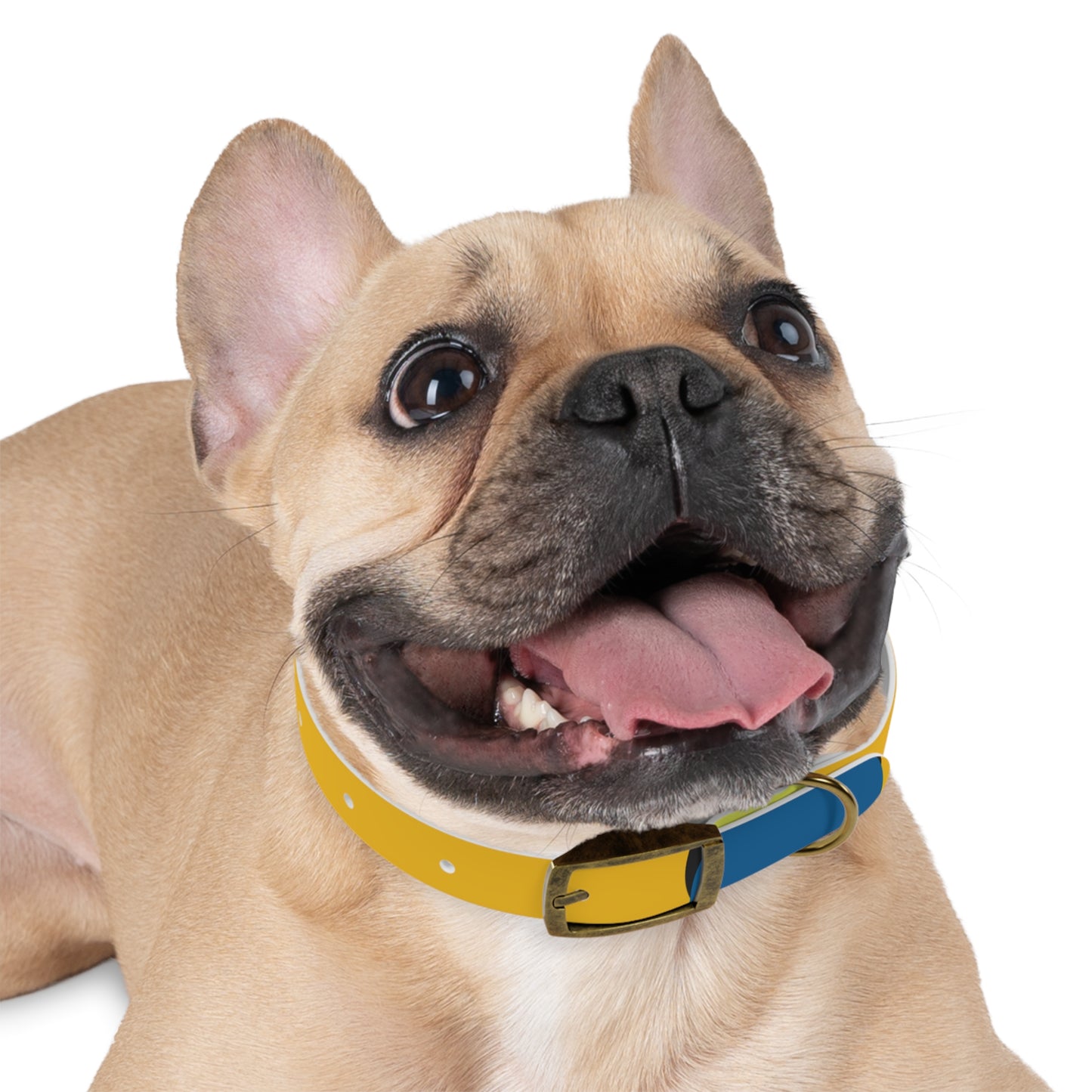 Dog Collar - 80's Retro Style Icon Collar