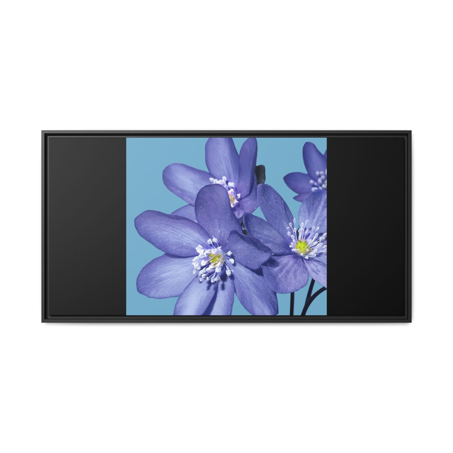 Framed Floral Canvas Art - Vibrant Blue Flower Decor