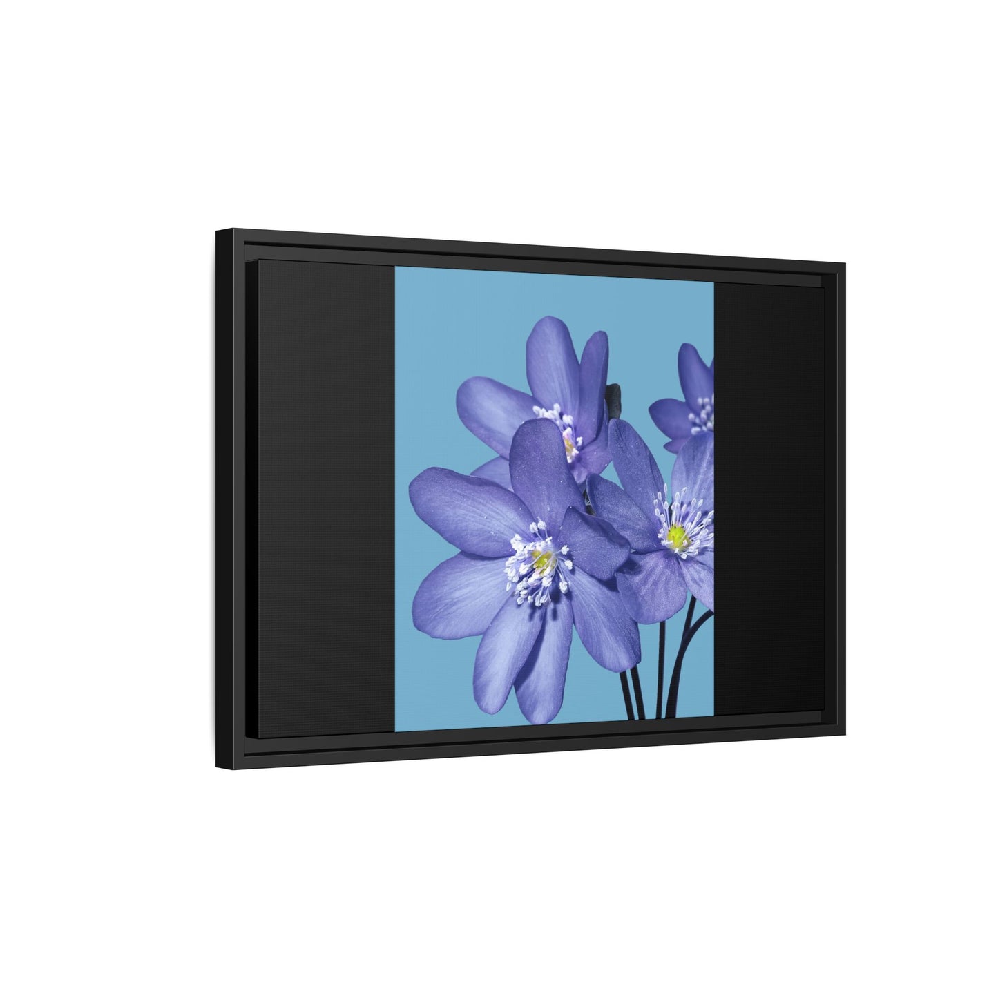Framed Floral Canvas Art - Vibrant Blue Flower Decor