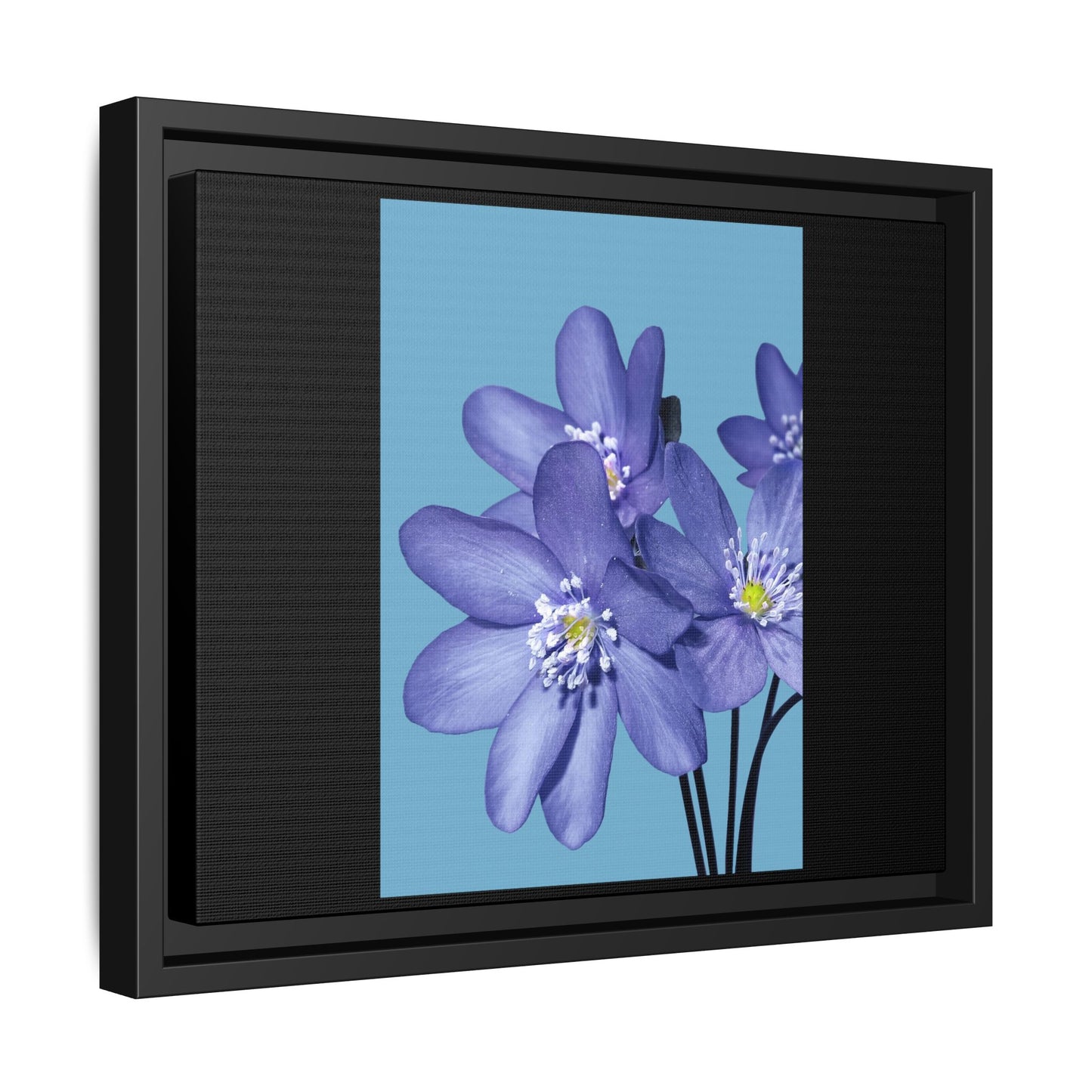 Framed Floral Canvas Art - Vibrant Blue Flower Decor