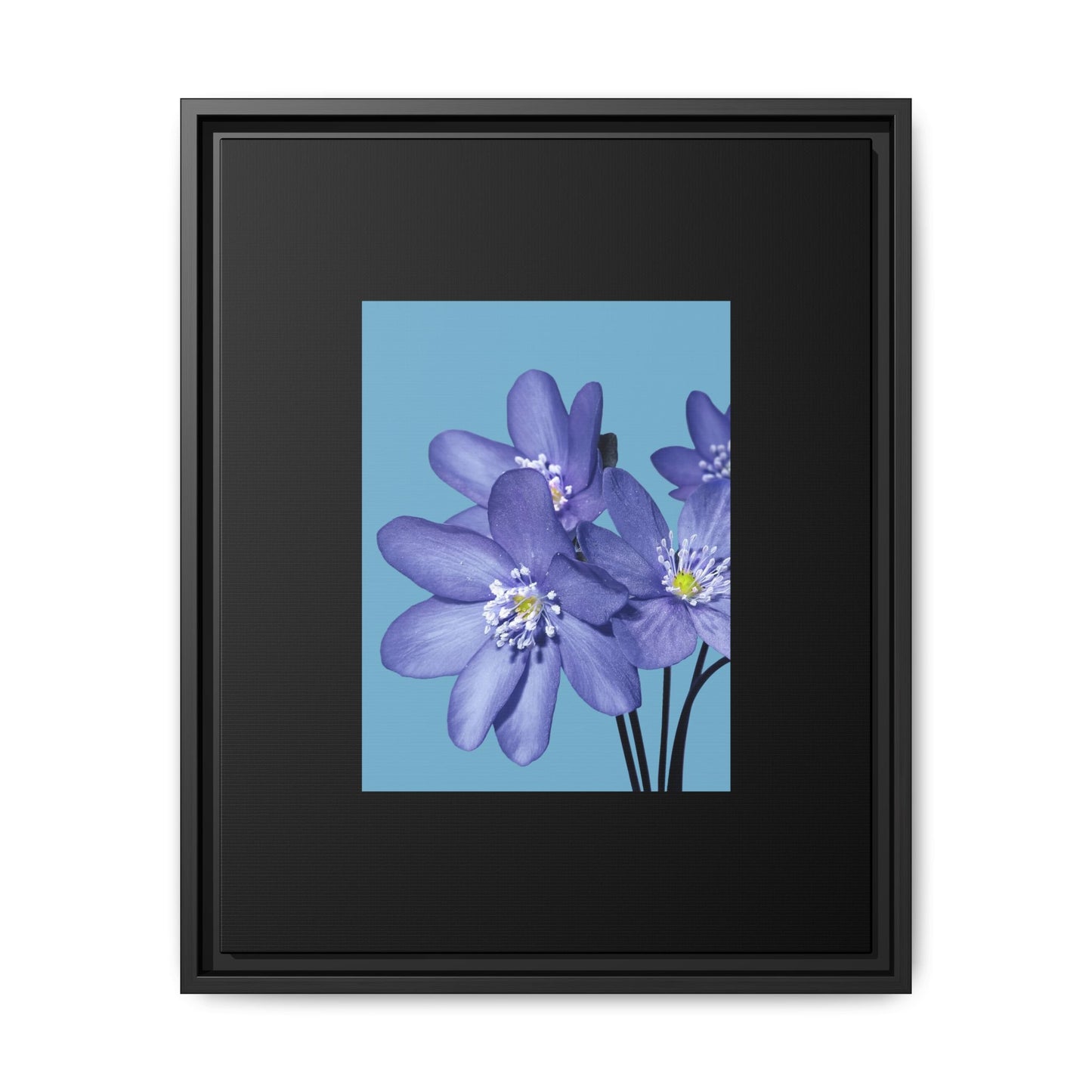 Framed Floral Canvas Art - Vibrant Blue Flower Decor
