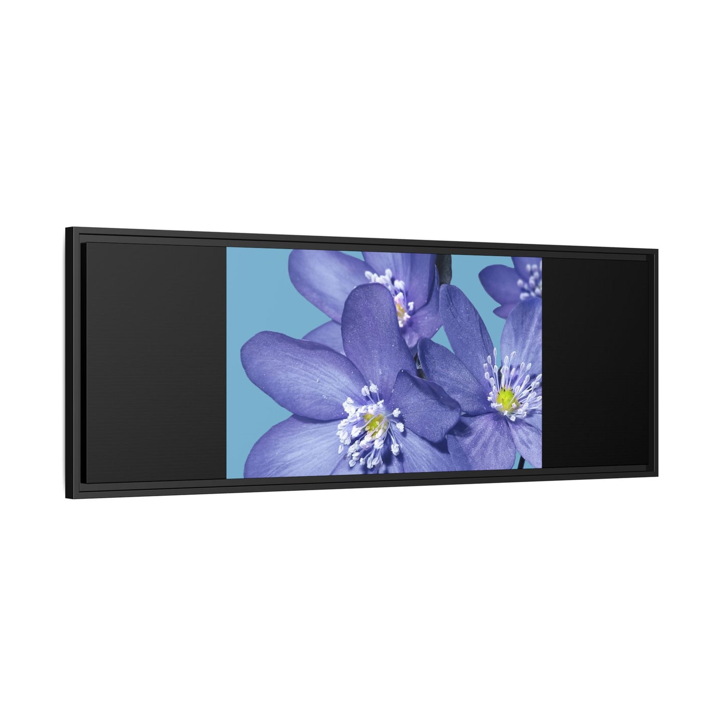 Framed Floral Canvas Art - Vibrant Blue Flower Decor