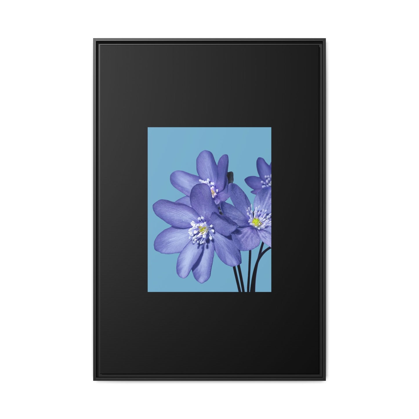 Framed Floral Canvas Art - Vibrant Blue Flower Decor