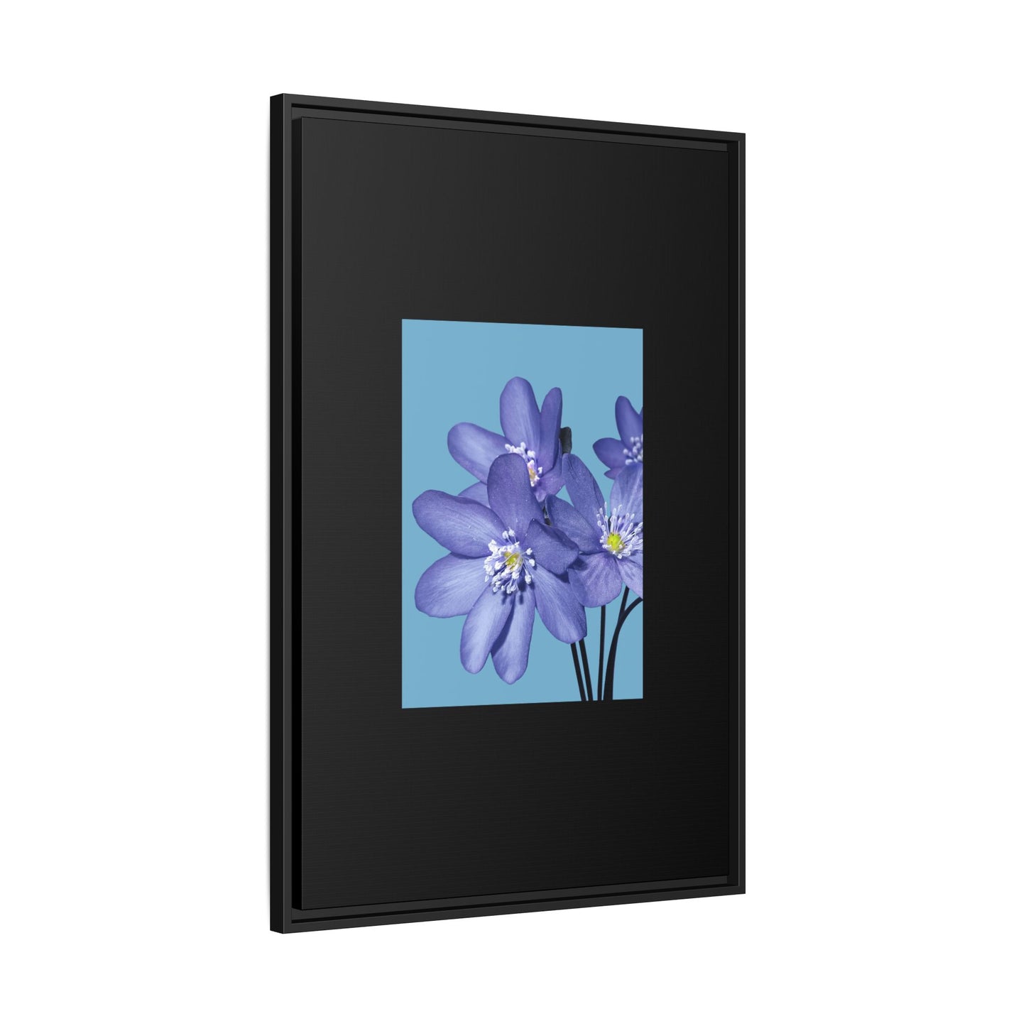 Framed Floral Canvas Art - Vibrant Blue Flower Decor