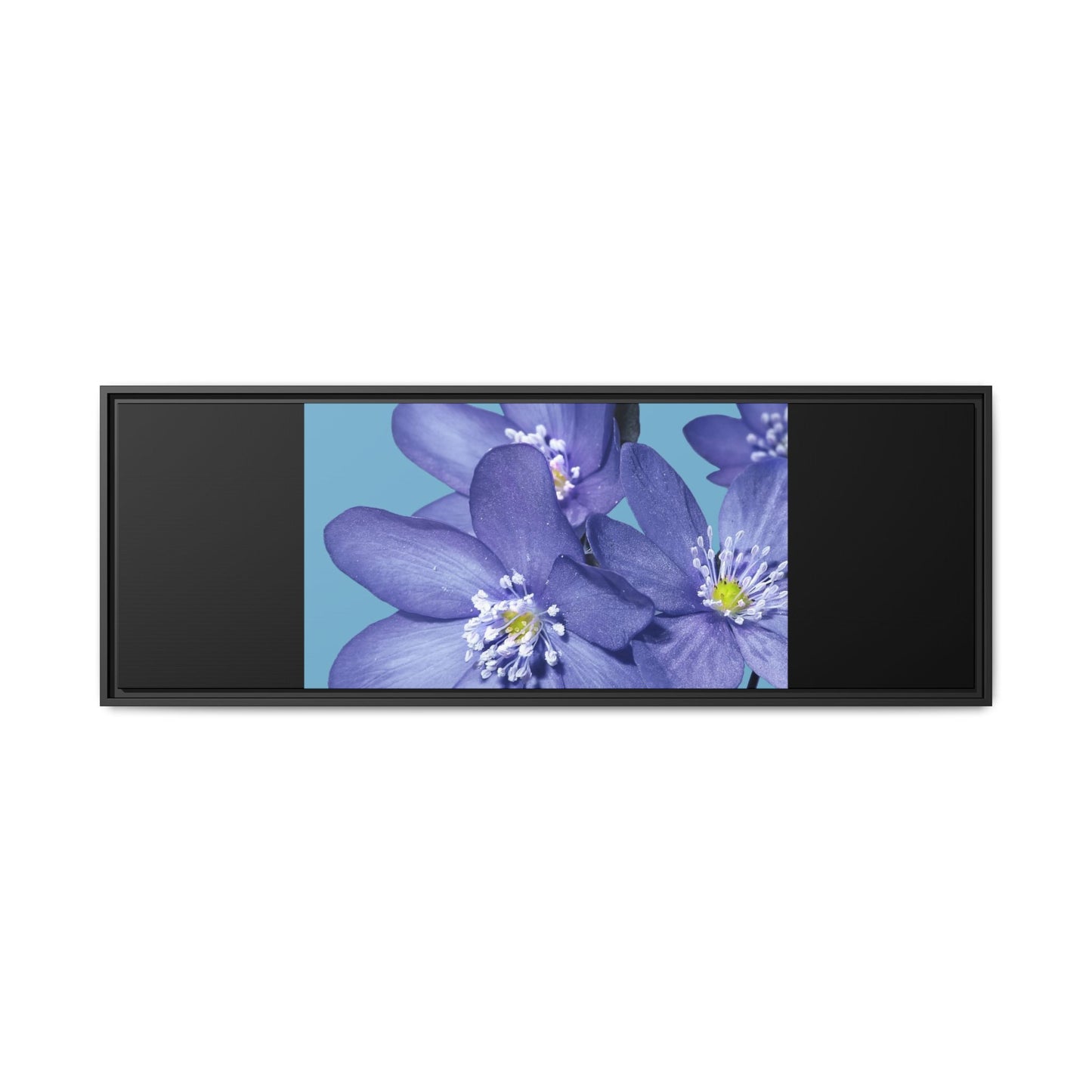 Framed Floral Canvas Art - Vibrant Blue Flower Decor
