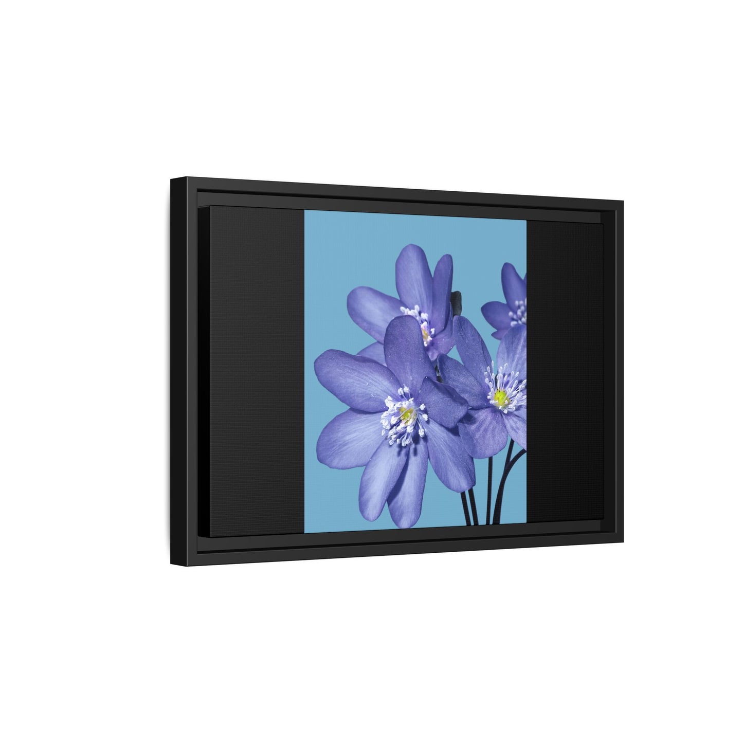 Framed Floral Canvas Art - Vibrant Blue Flower Decor