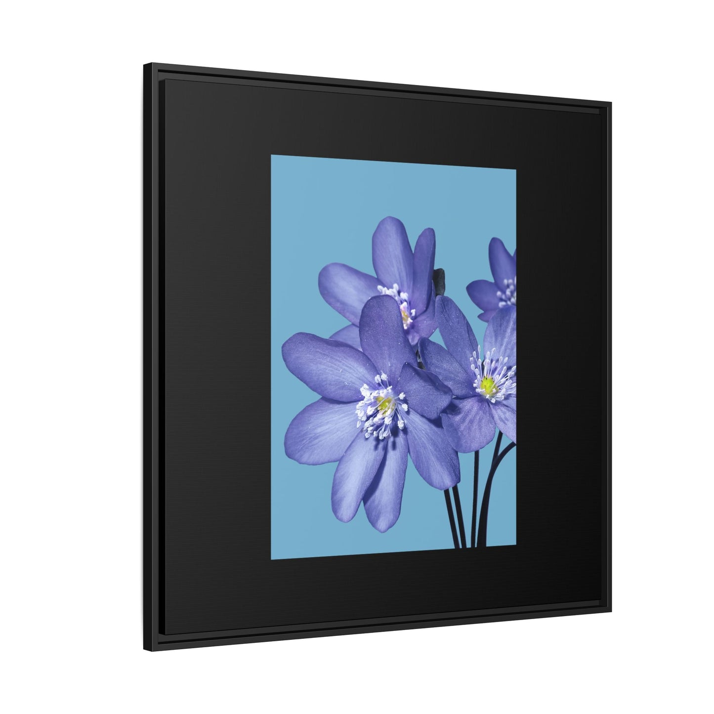 Framed Floral Canvas Art - Vibrant Blue Flower Decor