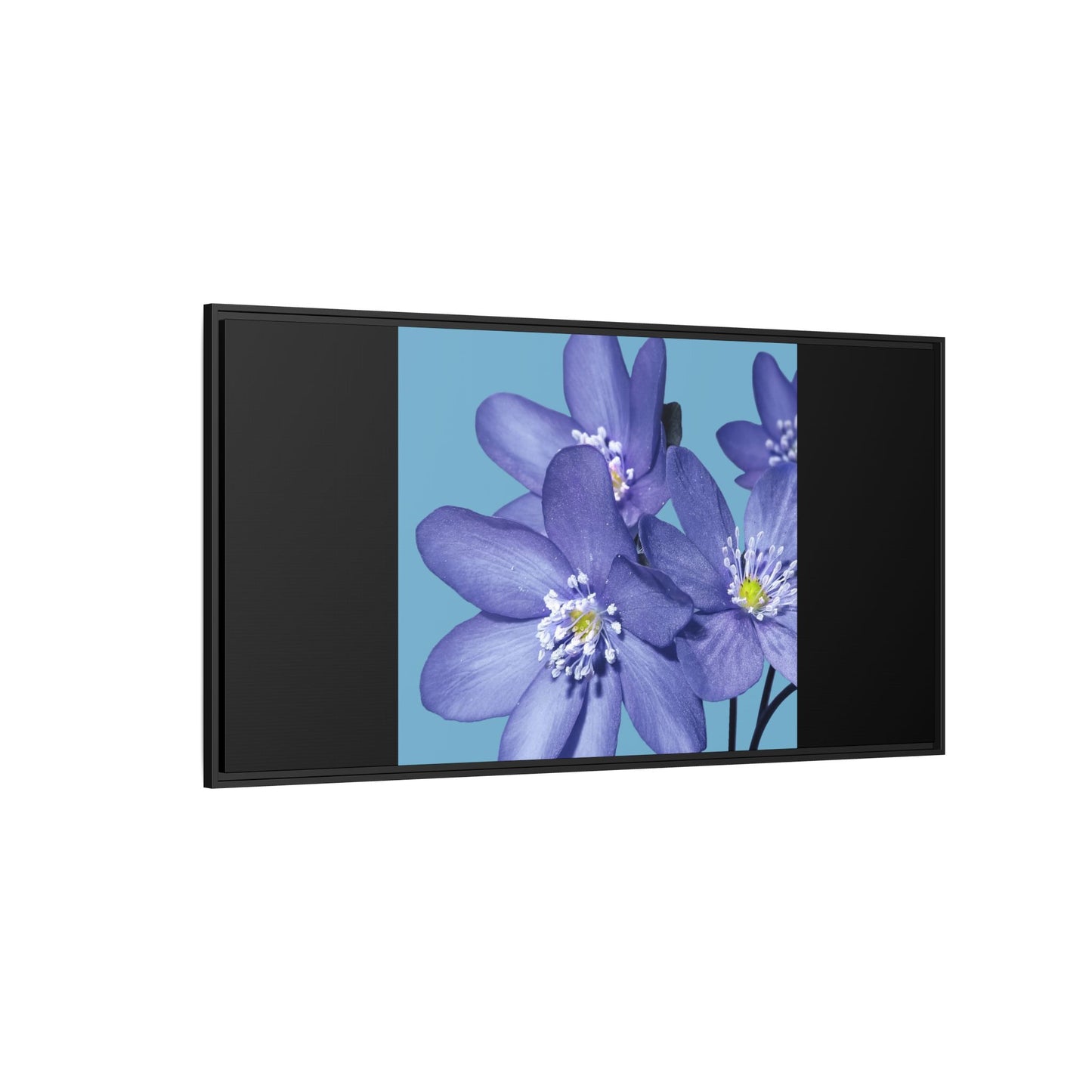 Framed Floral Canvas Art - Vibrant Blue Flower Decor