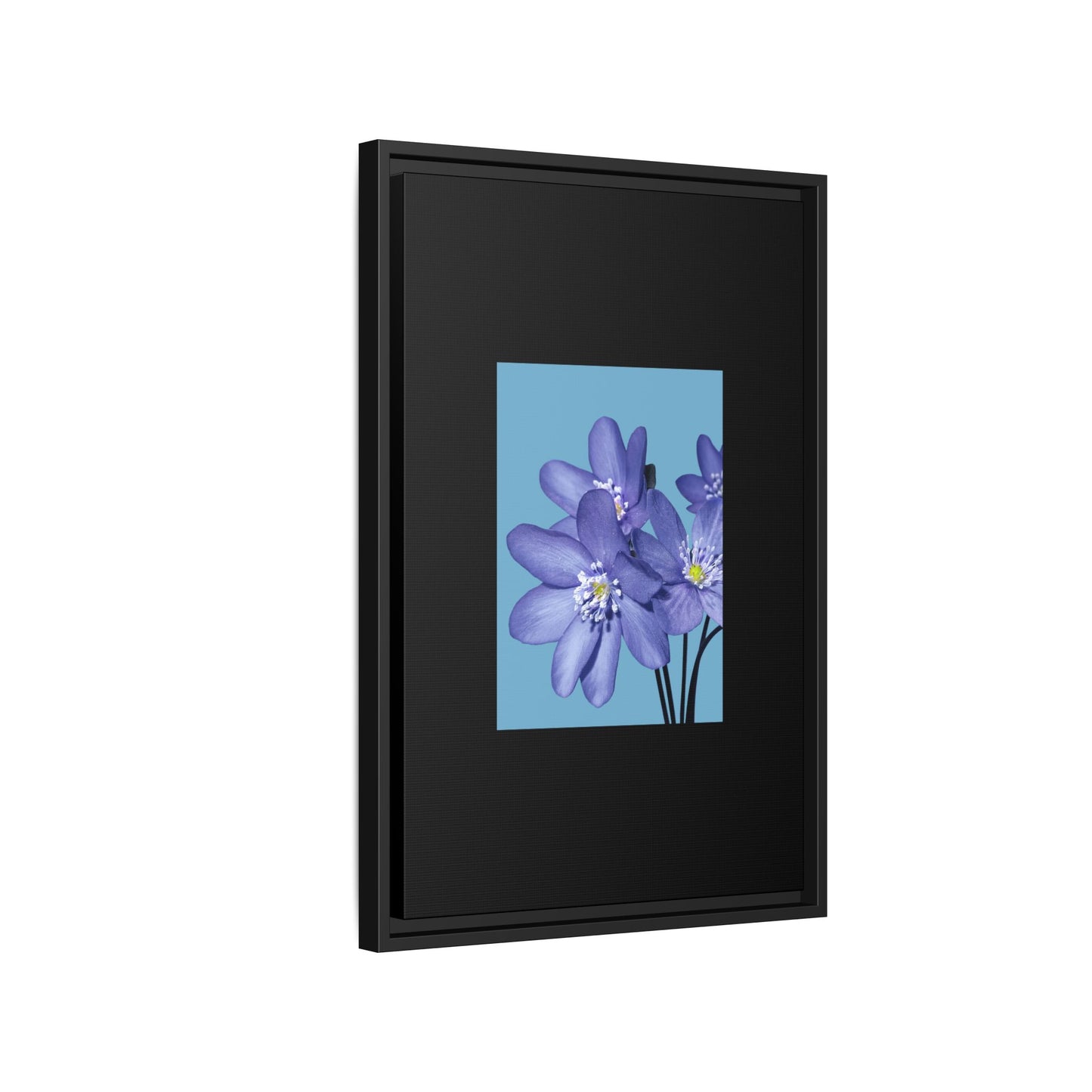 Framed Floral Canvas Art - Vibrant Blue Flower Decor