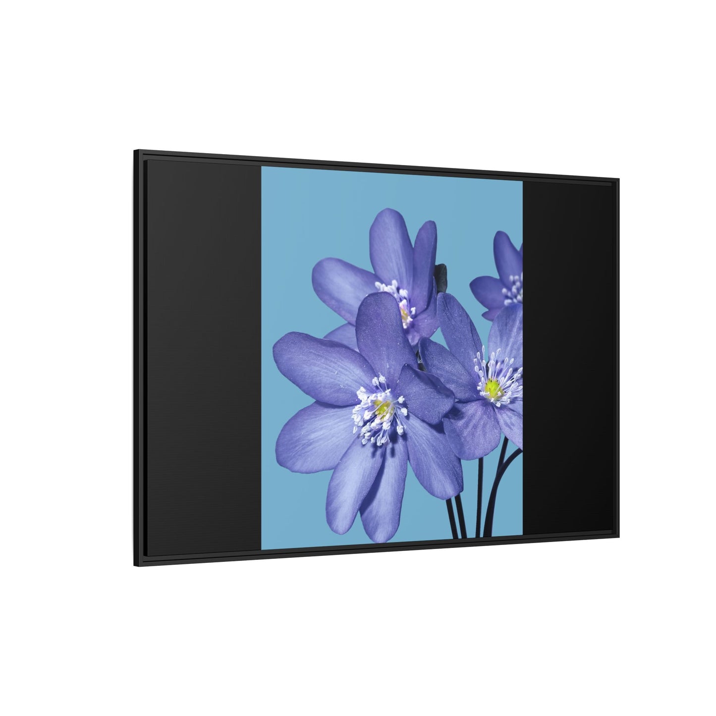 Framed Floral Canvas Art - Vibrant Blue Flower Decor