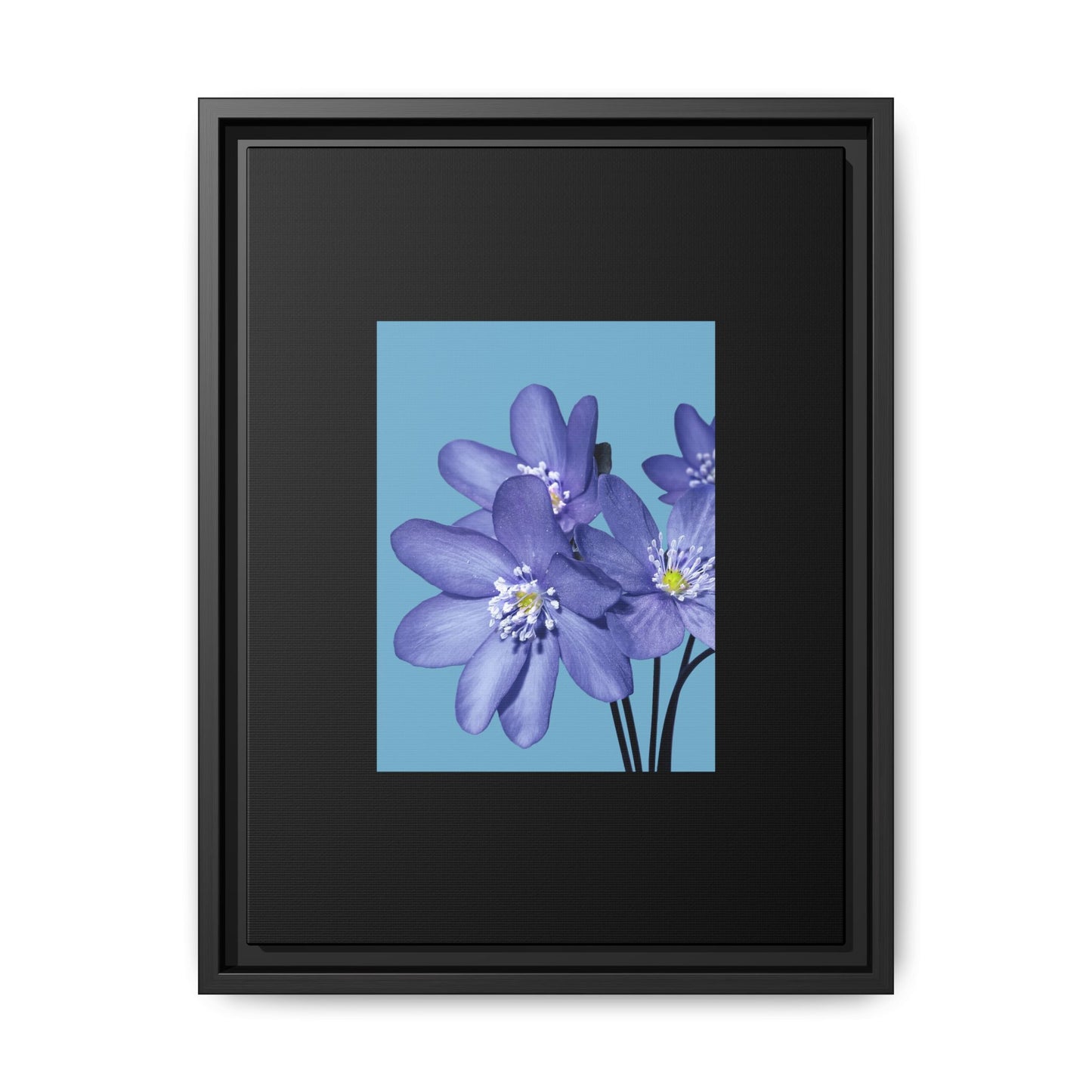 Framed Floral Canvas Art - Vibrant Blue Flower Decor