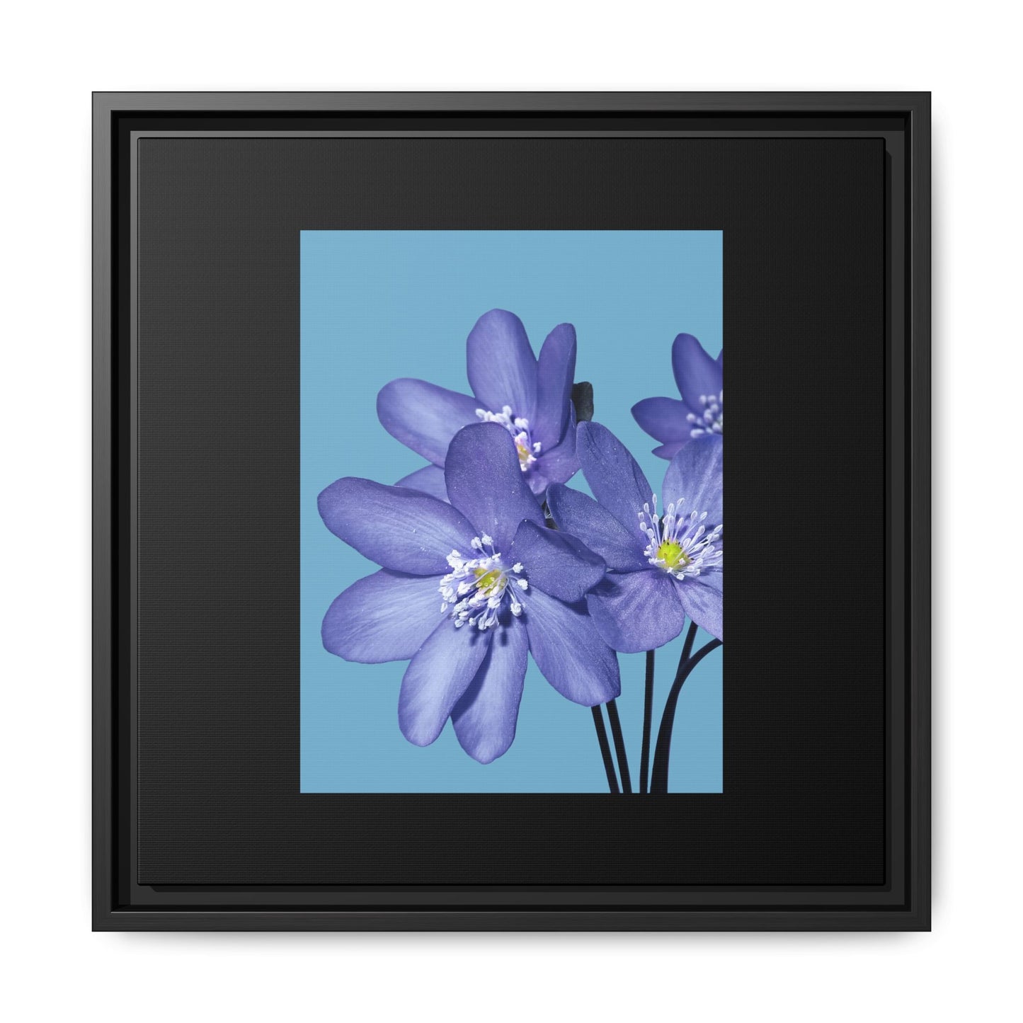 Framed Floral Canvas Art - Vibrant Blue Flower Decor