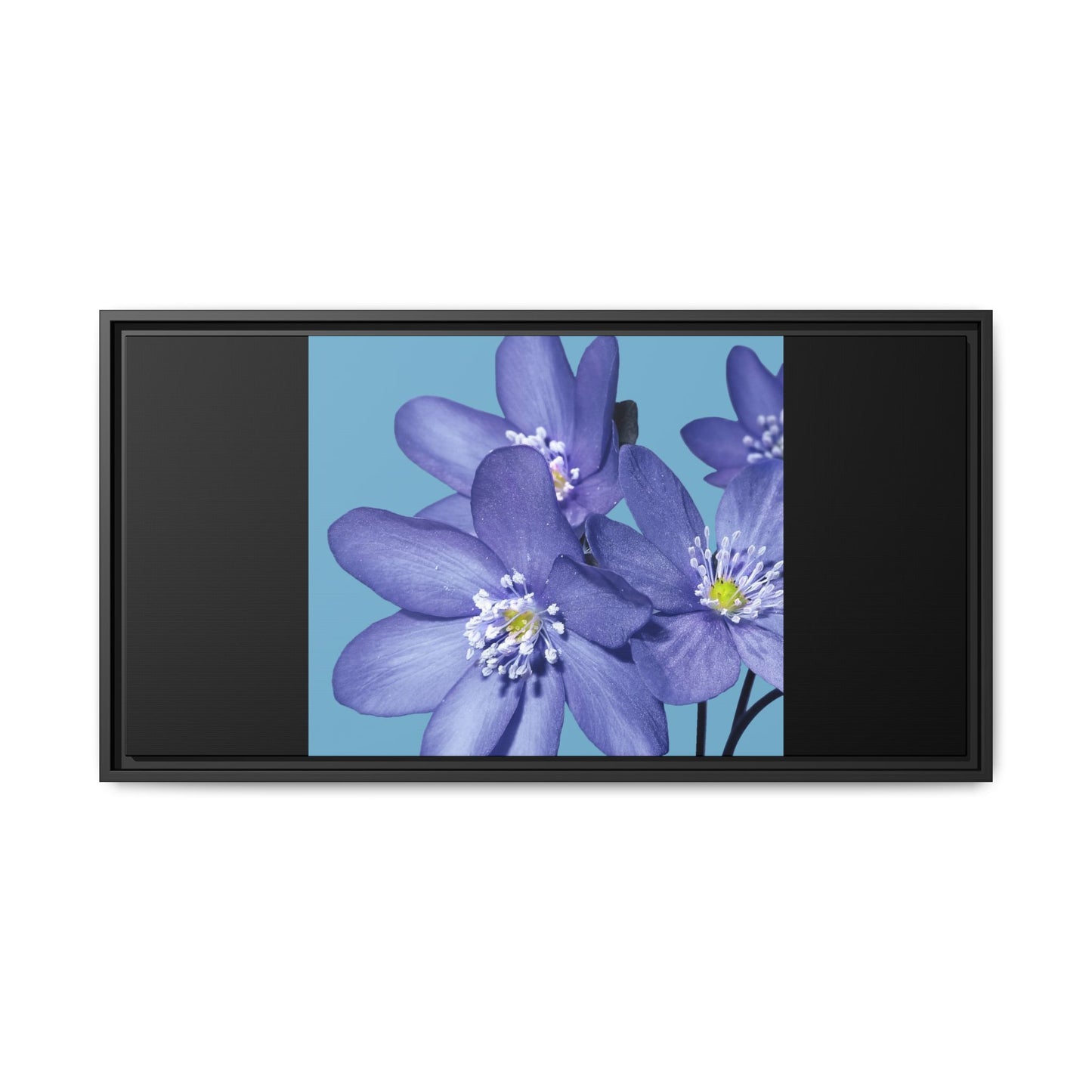 Framed Floral Canvas Art - Vibrant Blue Flower Decor