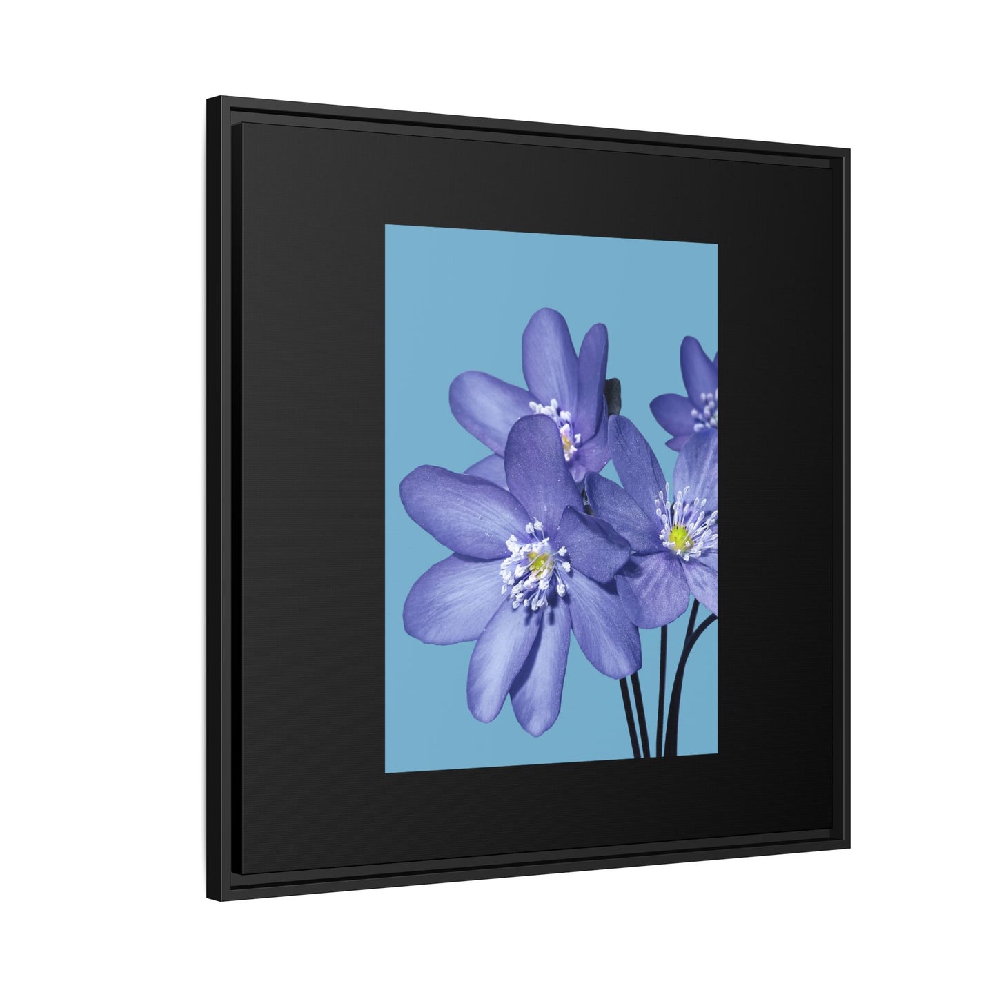 Framed Floral Canvas Art - Vibrant Blue Flower Decor